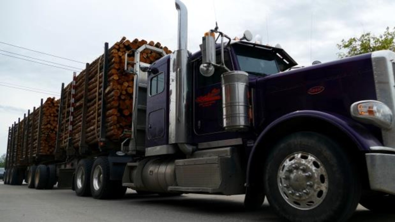 Un camion forestier