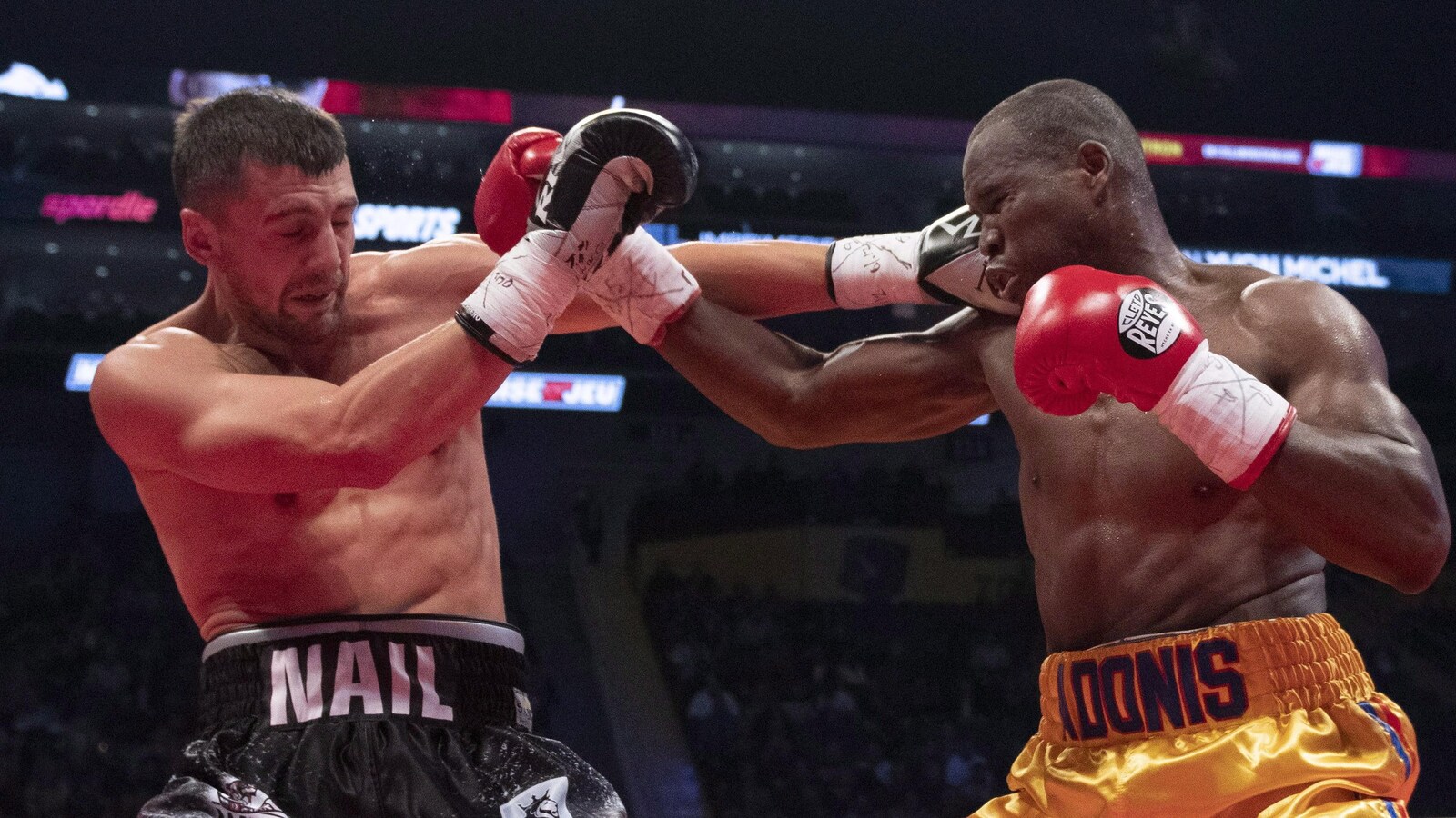 Oleksandr Gvozdyk et Adonis Stevenson dans le ring du Centre Vidéotron.