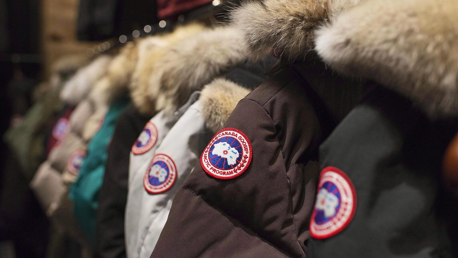 Des manteaux Canada Goose accrochés dans un magasin.