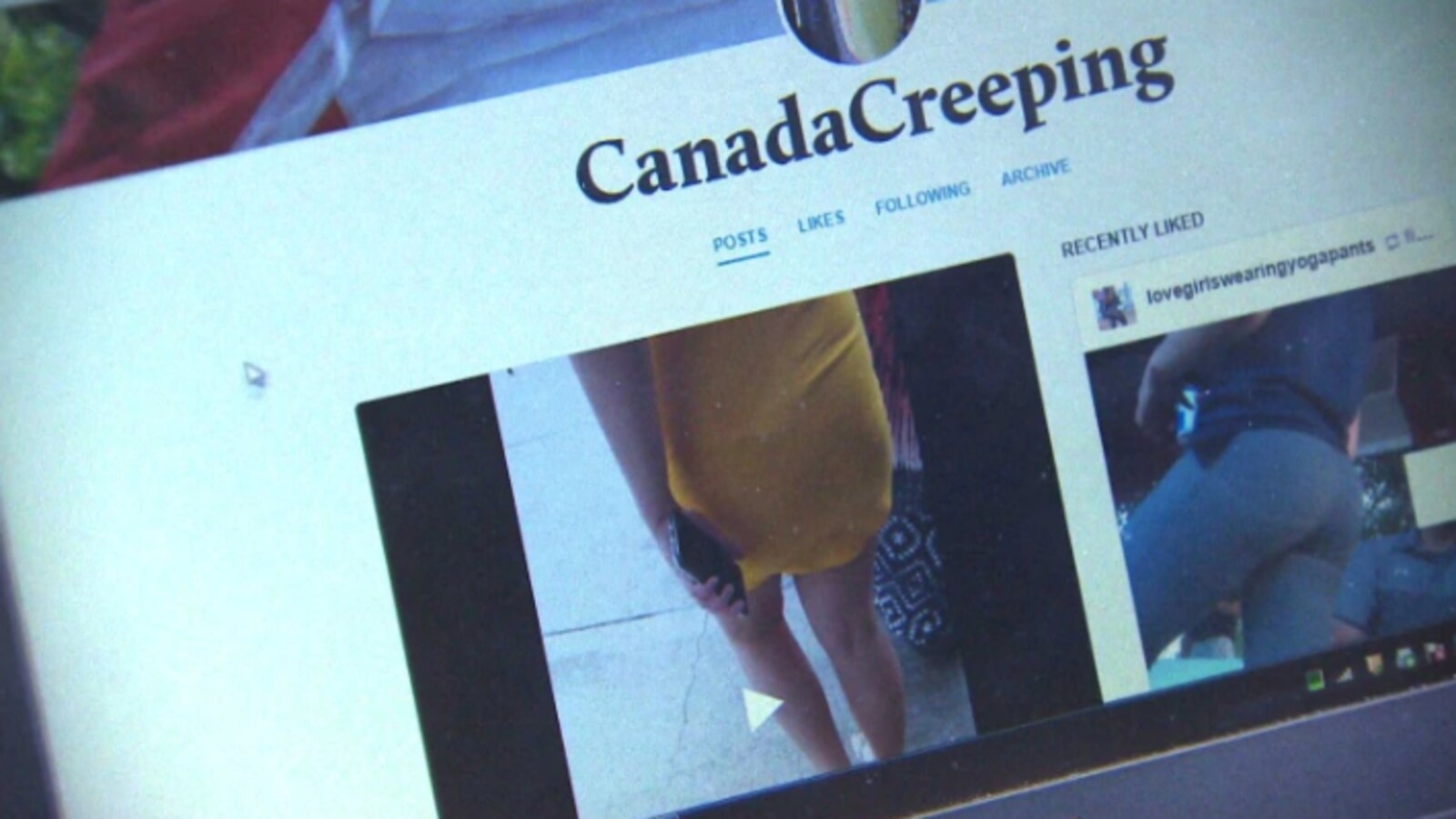 Le site internet, publié sur Tumblr, comportait des mots-clics, notamment #sexyteen et #teenbubblebutt.