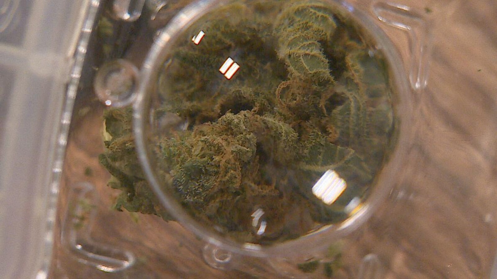 Photo d'un bocal contenant du cannabis.