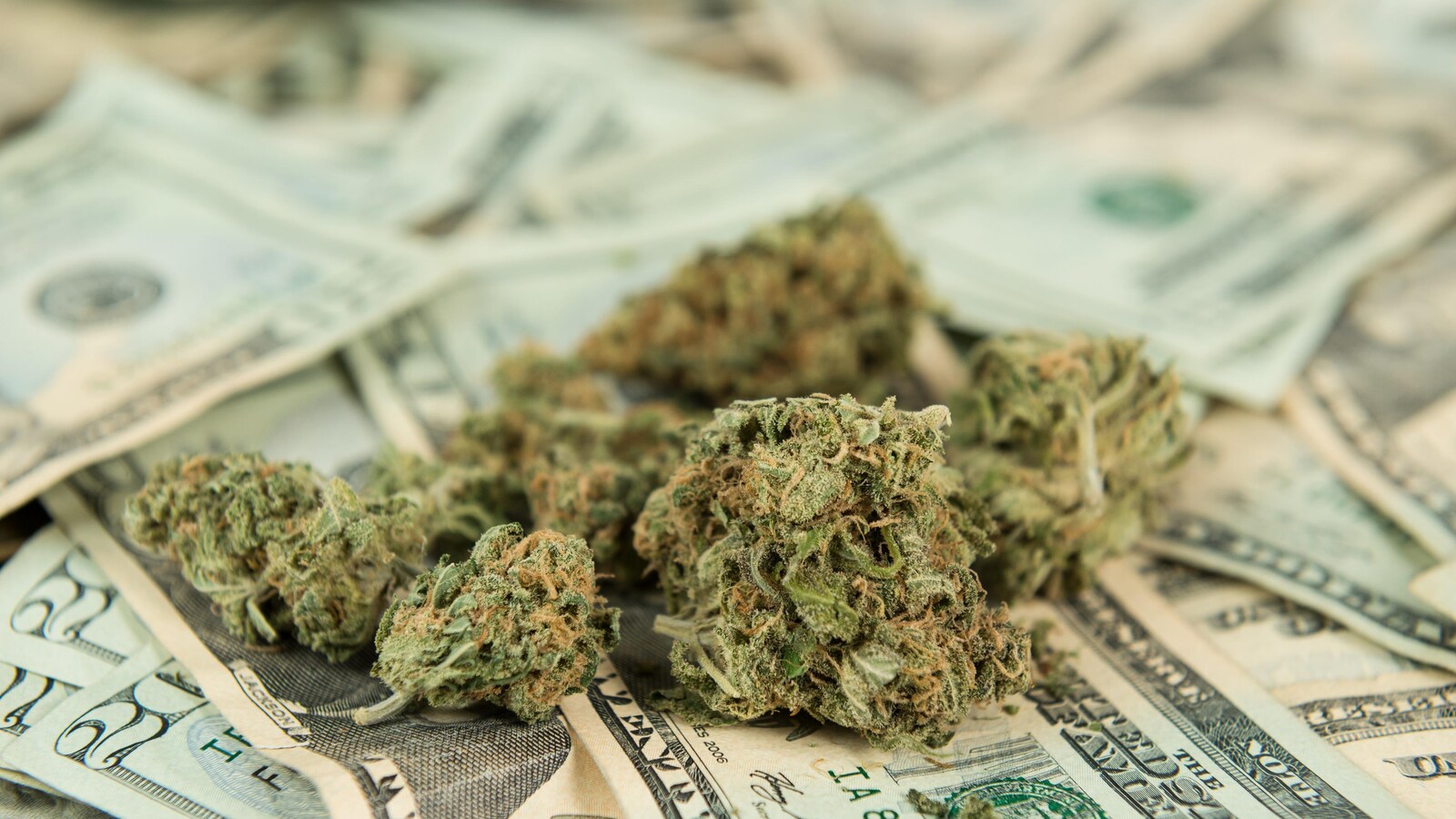 De la marijuana sur des billets.