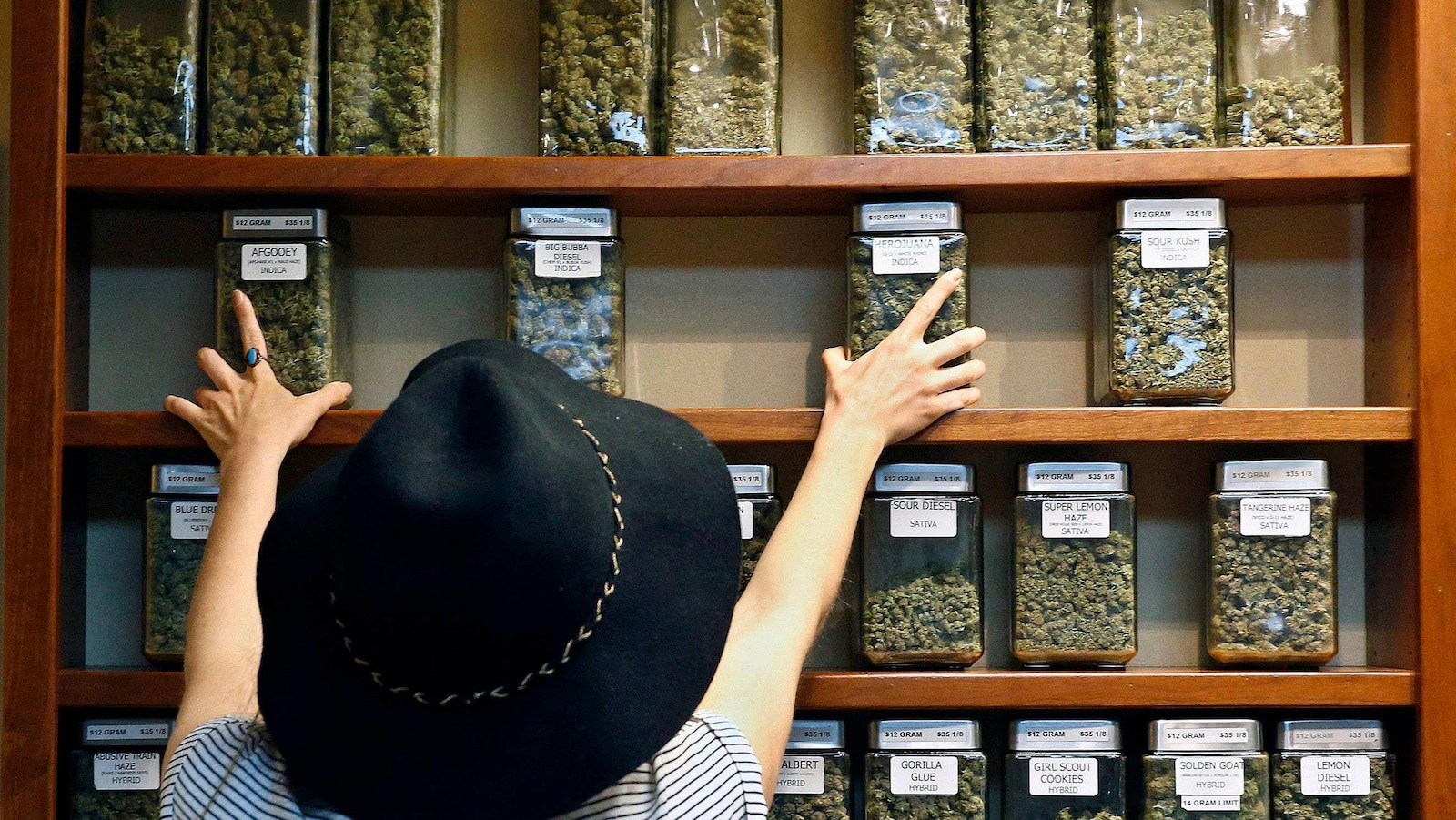 Une femme s'empare de pots en verre contenant des têtes de cannabis.