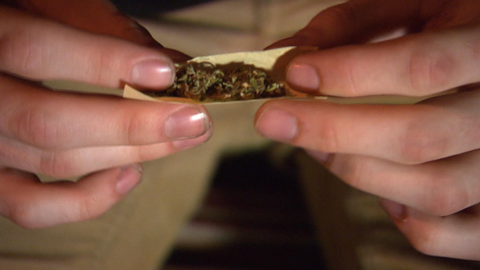 Un individu prépare un joint de marijuana.