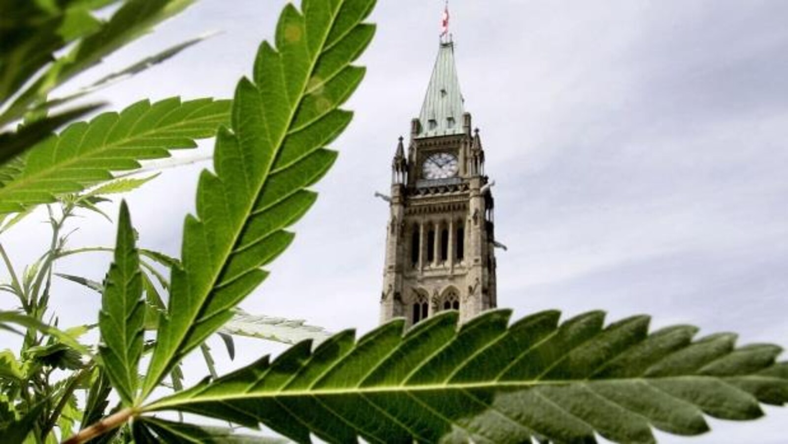 Quelles seront les mesures prises par le gouvernement fédéral pour encadrer la légalisation de la marijuana?