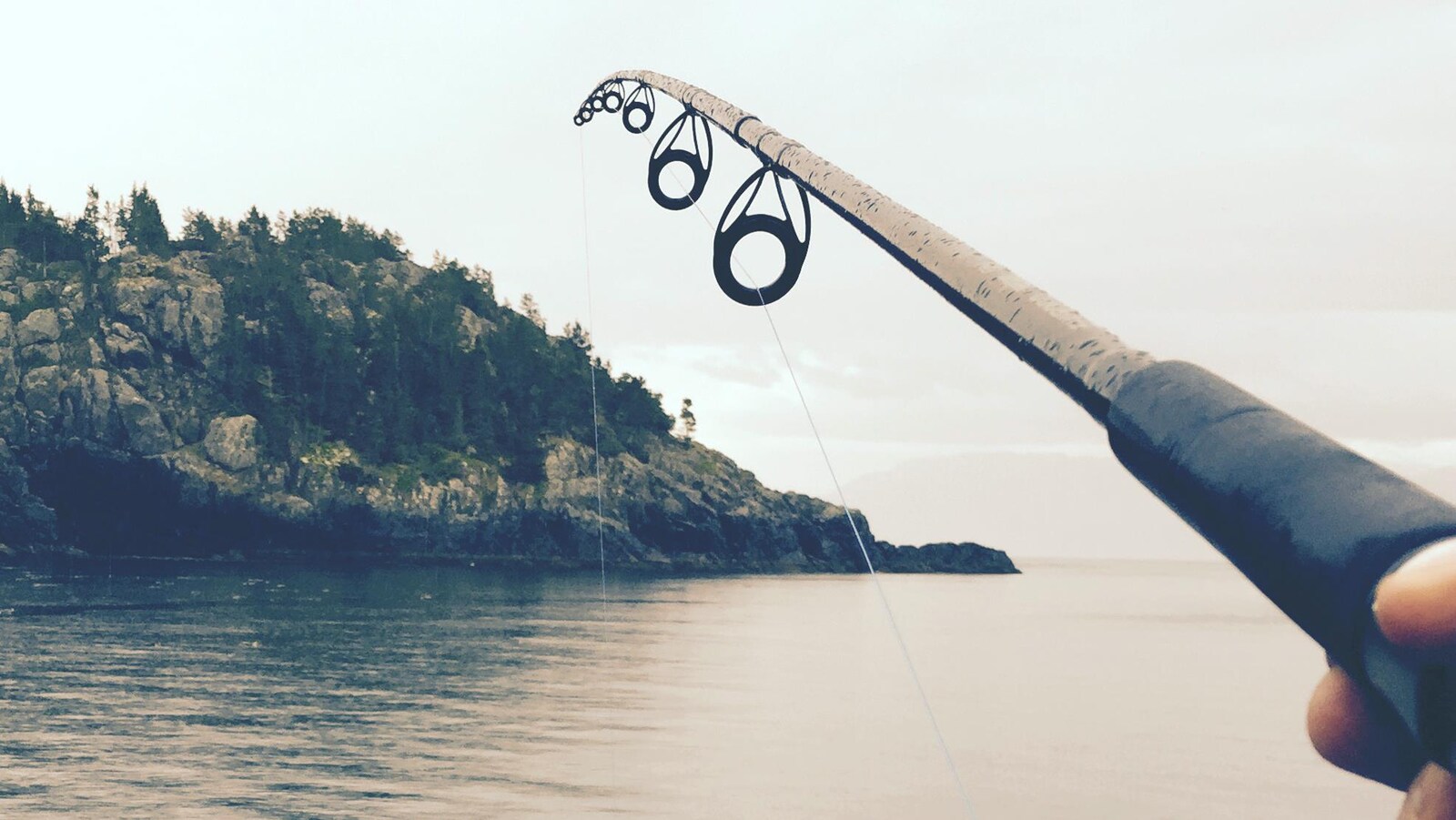 Une canne à pêche.