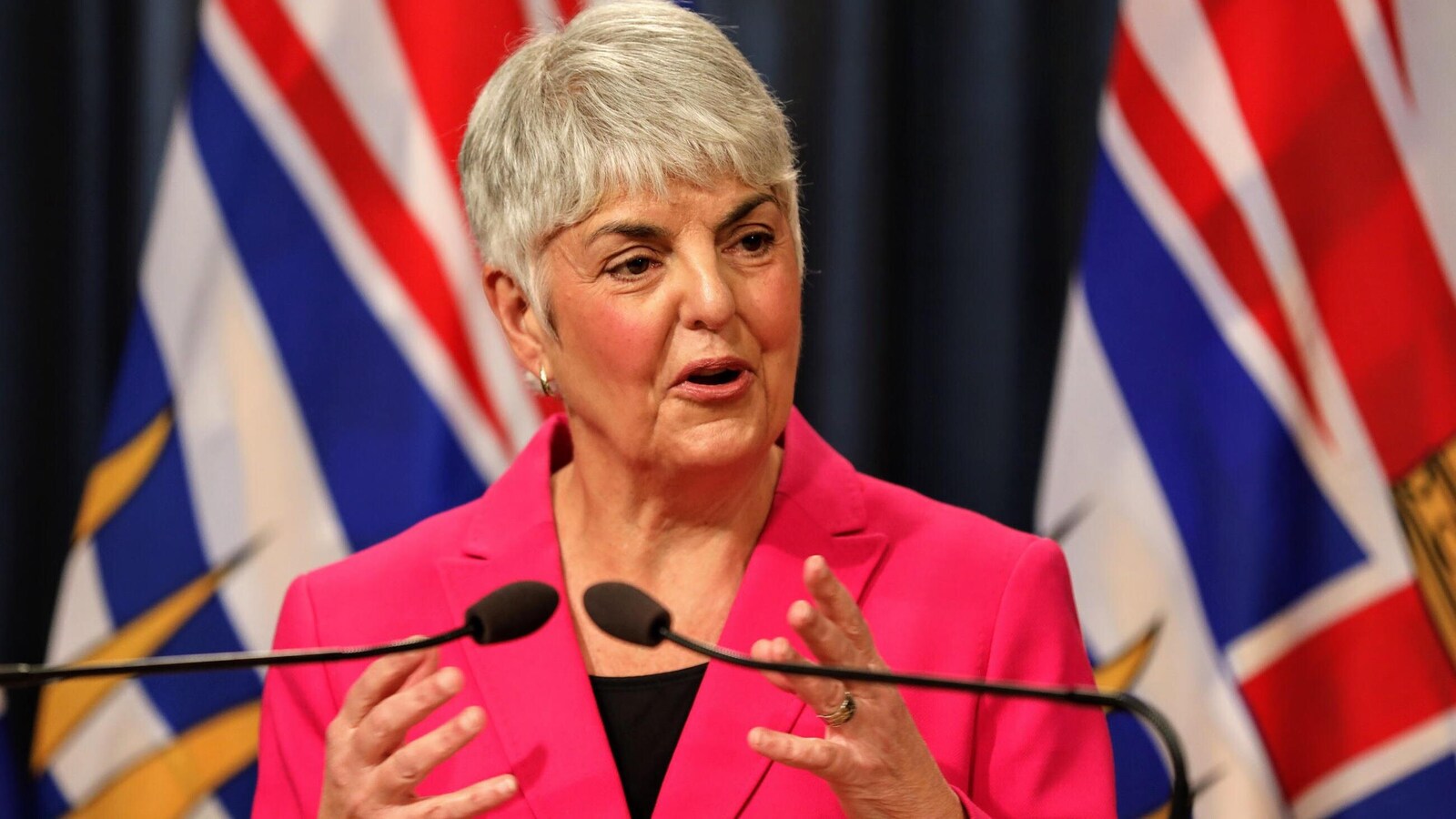 La ministre des Finances Carole James, une femme aux cheveux courts et blancs qui porte un veston rose, se trouve devant des micros. Derrière elle. se trouve un drapeau de la Colombie-Britannique.