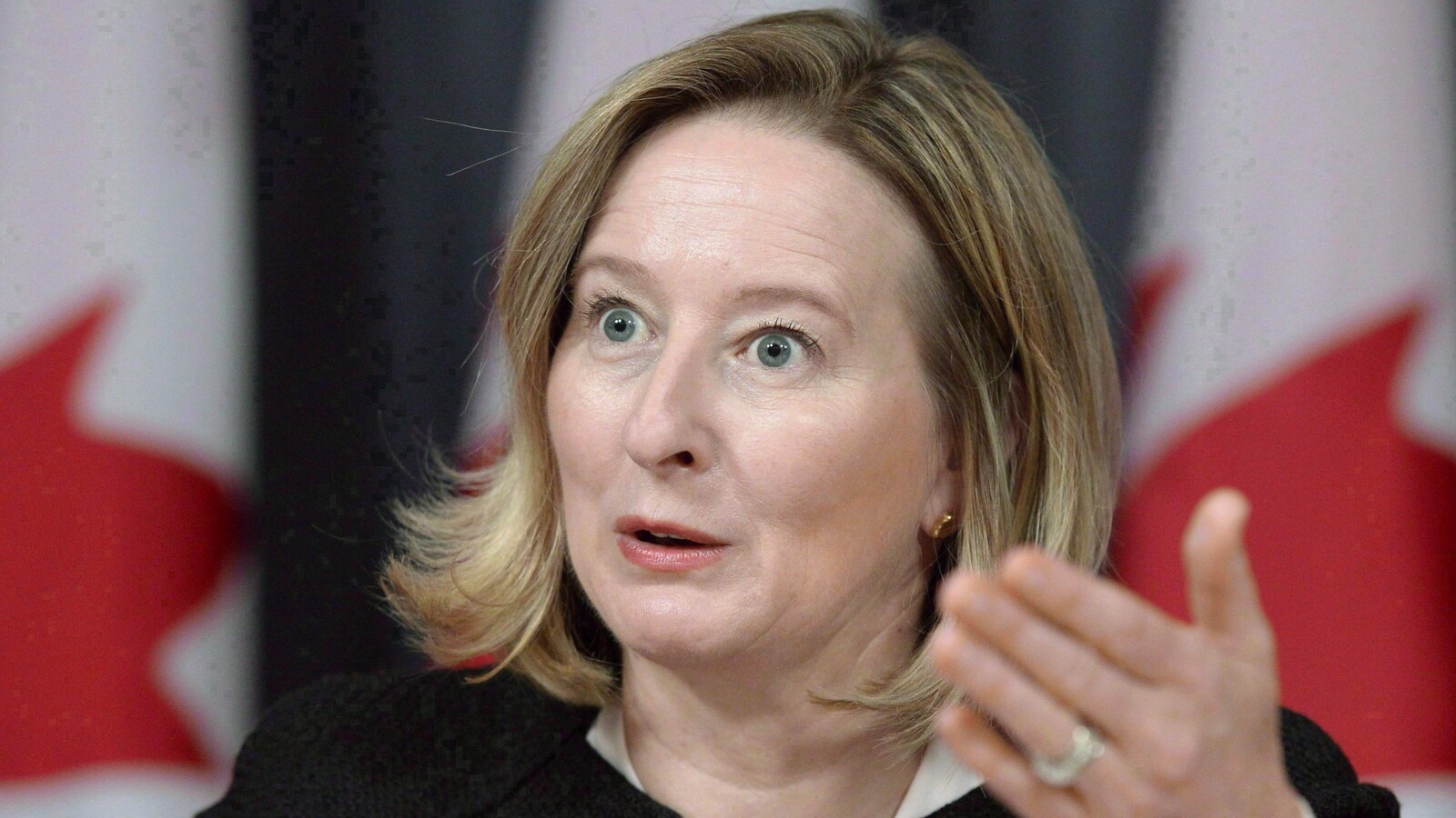 Carolyn Wilkins, première sous-gouverneure de la Banque du Canada