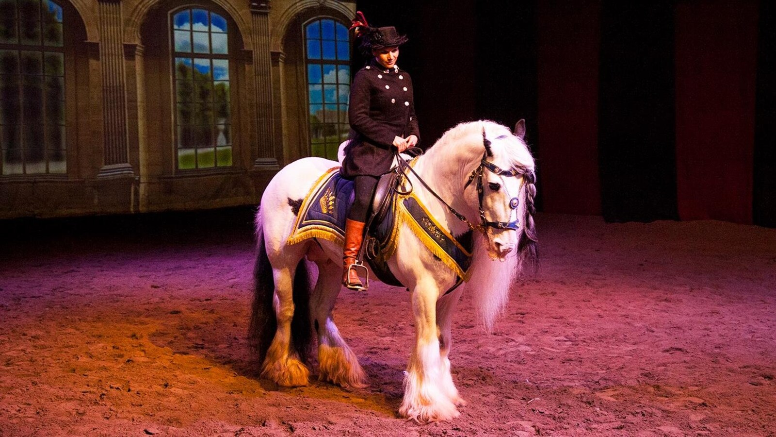 Un cheval et sa cavalière tous deux costumés pour un spectacle