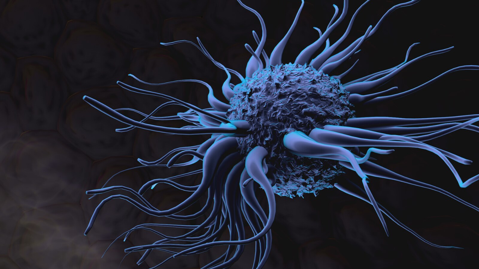 Une cellule dendritique