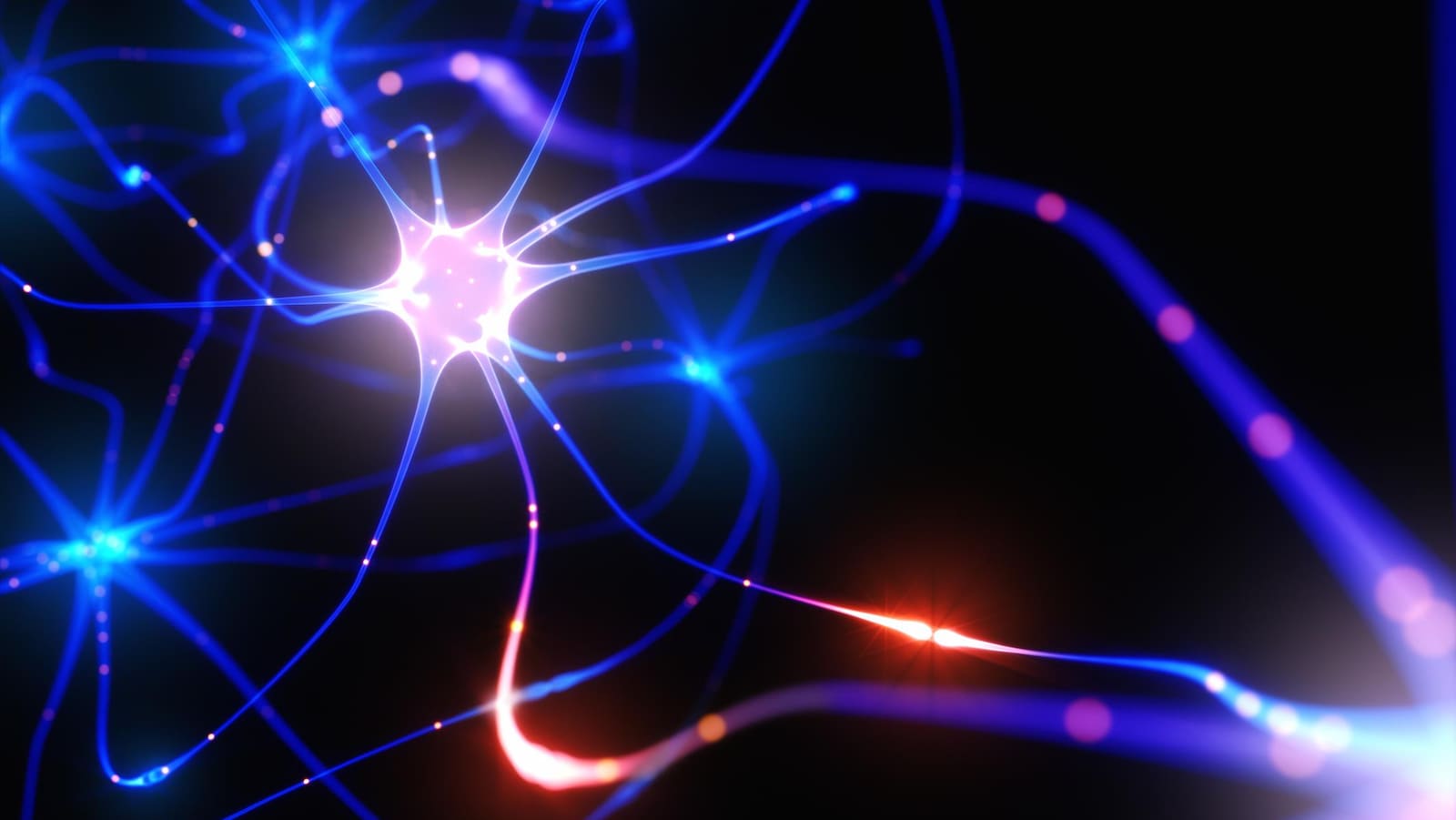Représentation artistique d'un neurone.