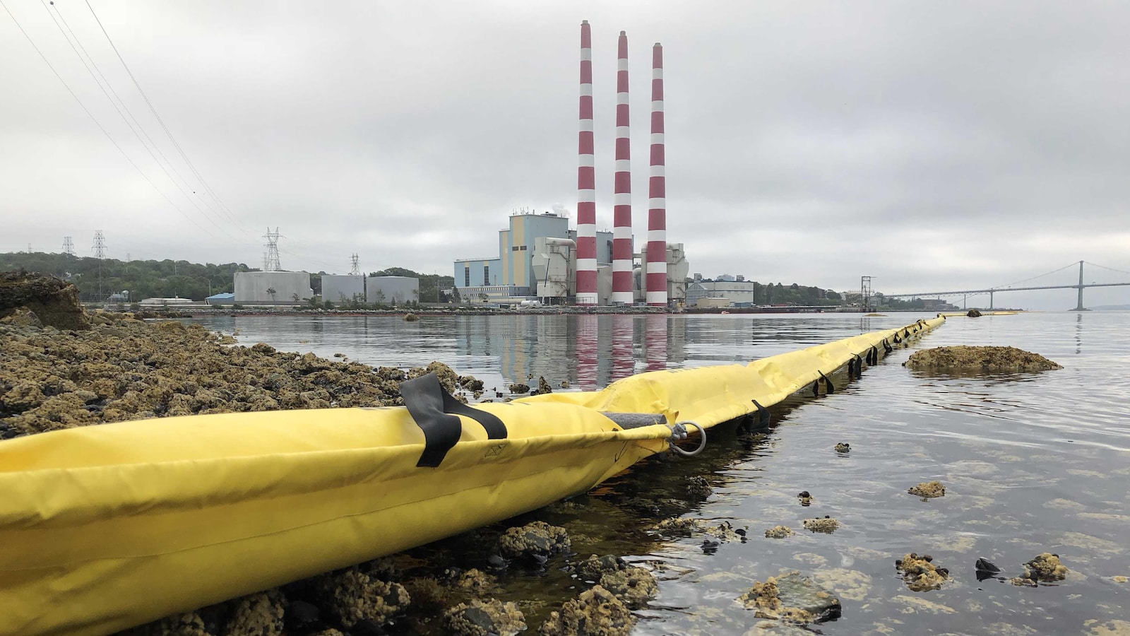 Estacade flottante jaune devant la centrale de Tufts Cove le 3 août 2018.