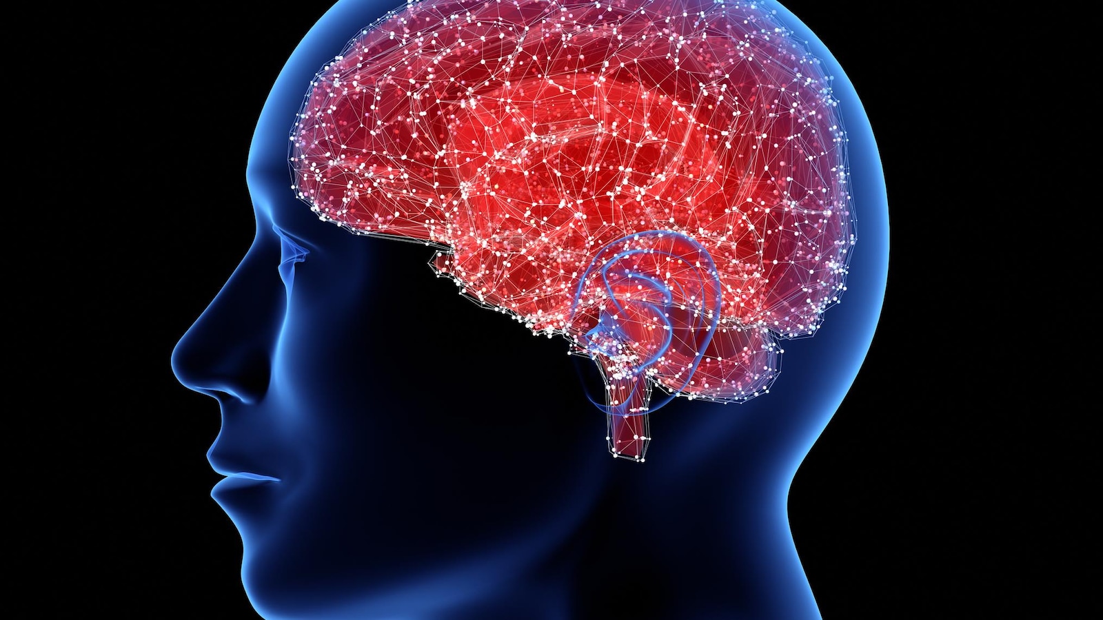 Représentation d'un cerveau.