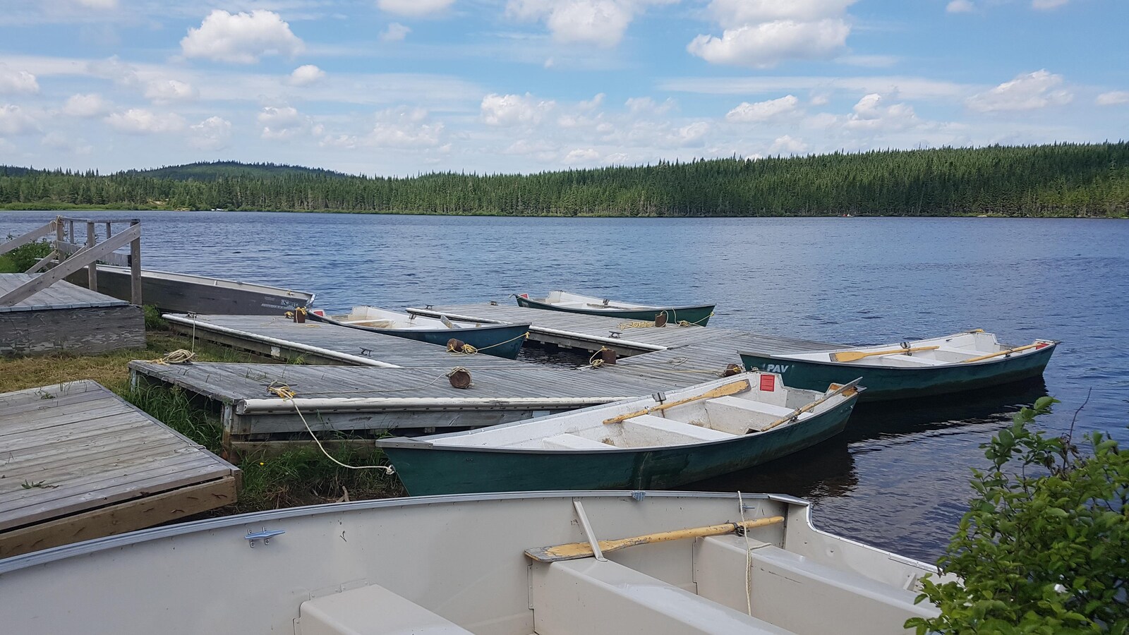 Des chaloupes sont amarrées à des pontons de bois sur un lac