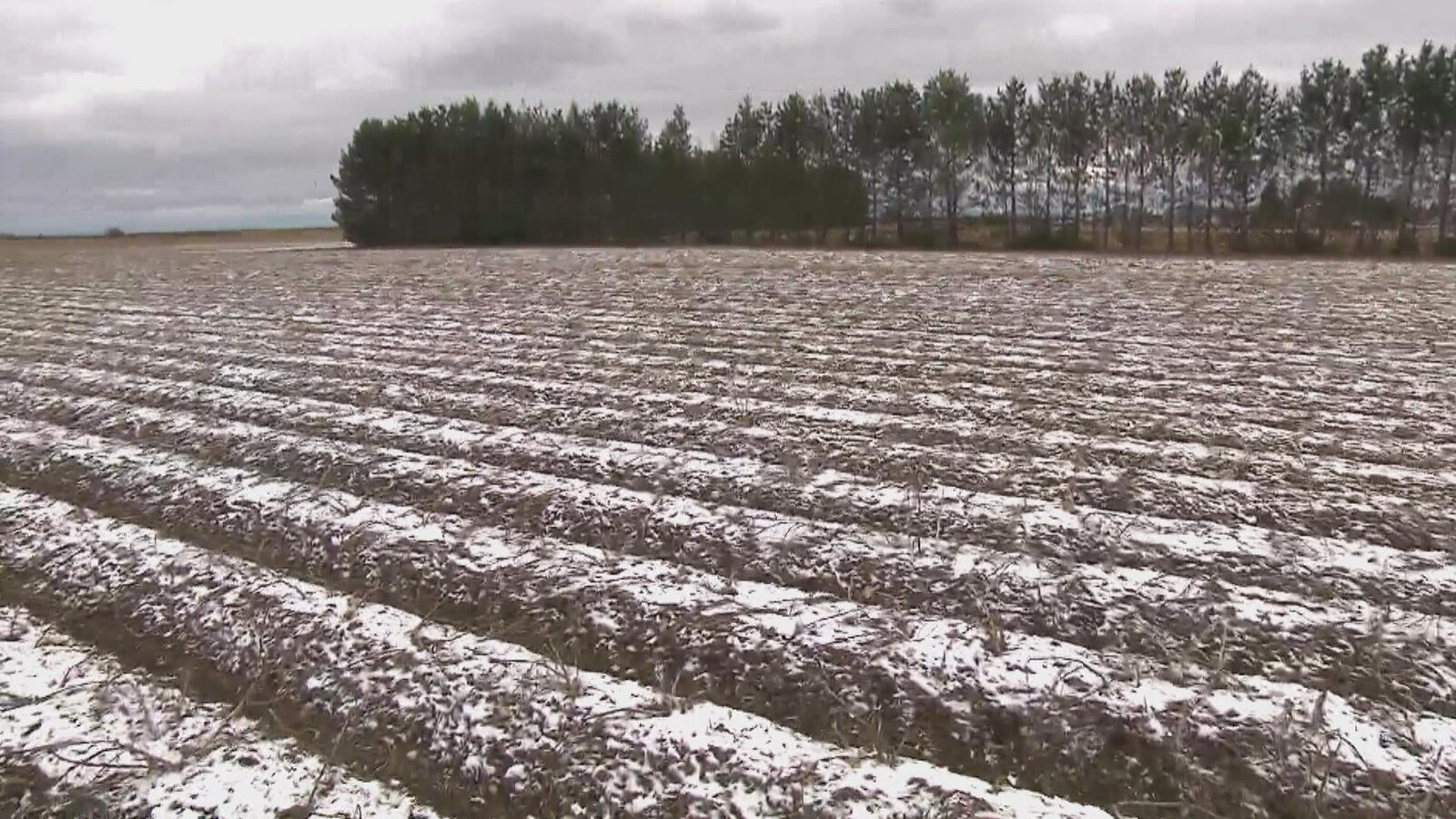 Un champ recouvert par la neige