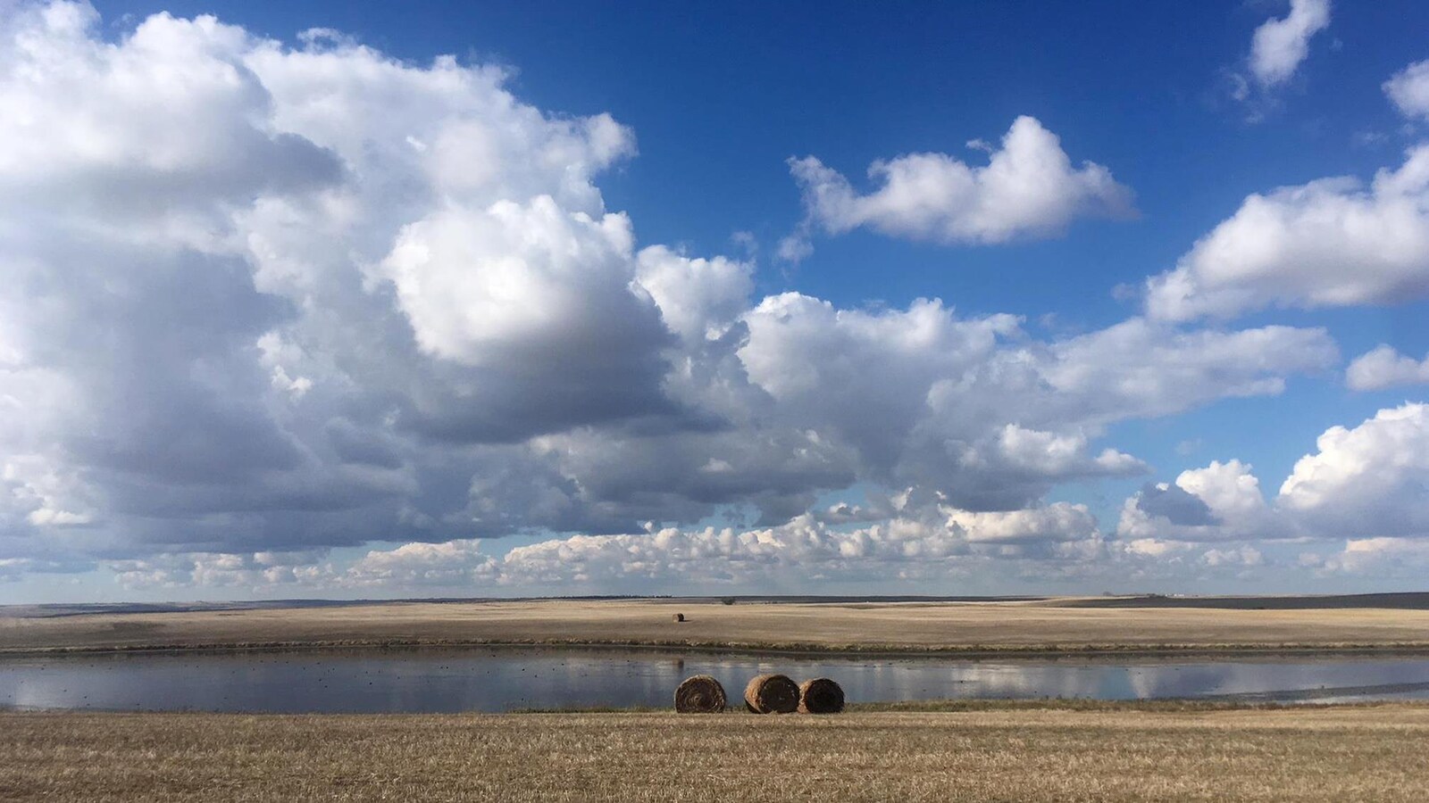 Un champ cultivé sous un ciel nuageux en automne