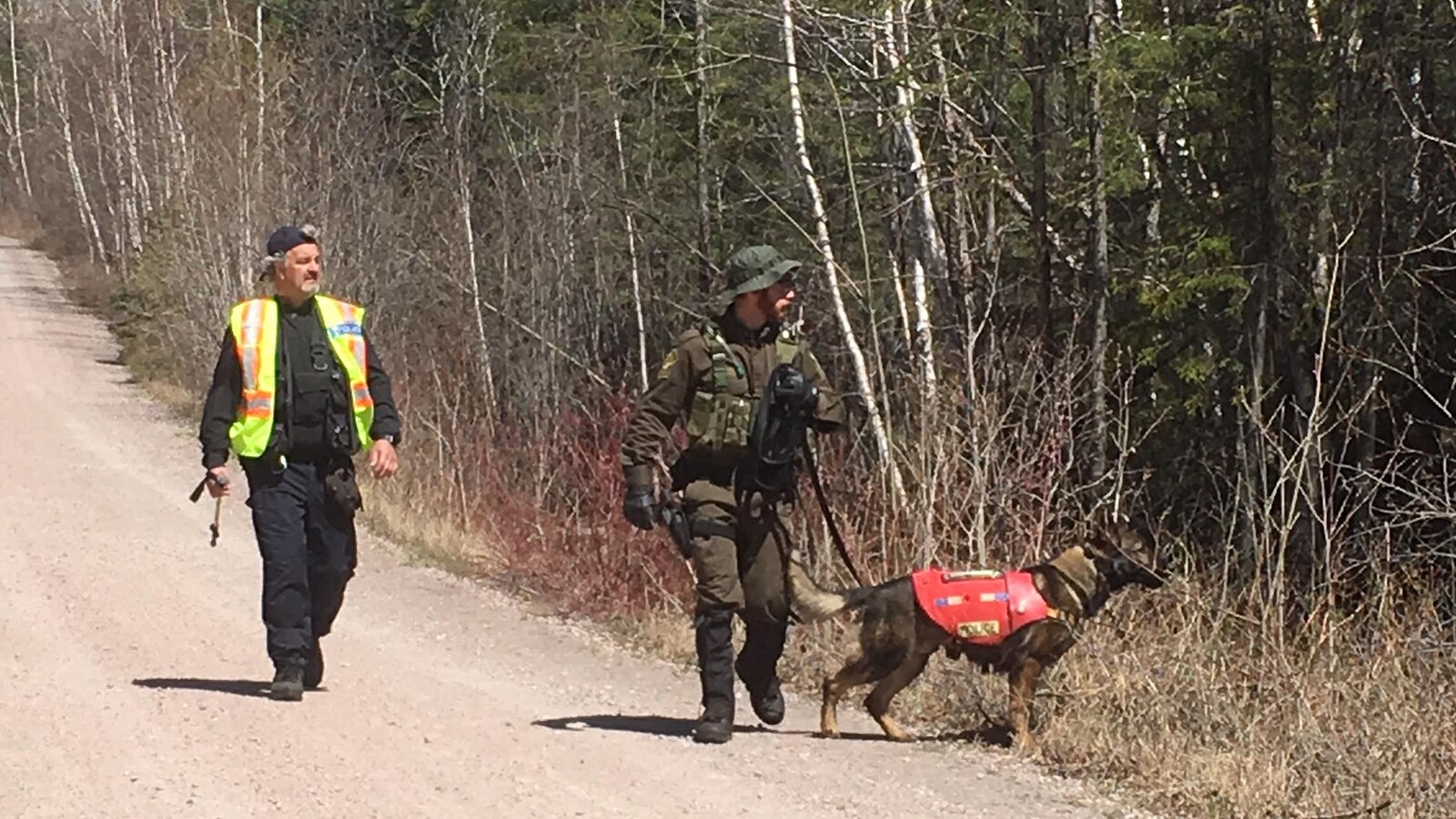 Un agent tient un chien en laisse près d'un boisé.
