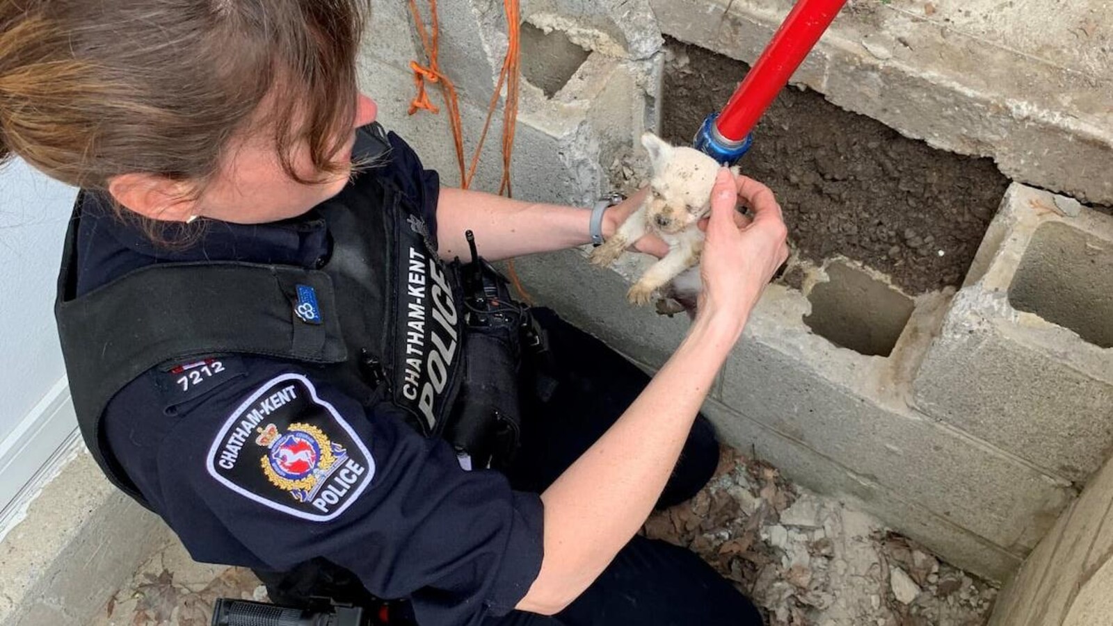 Une policière avec un tout petit chiot dans ses mains près d'un bloc de béton avec des trous.
