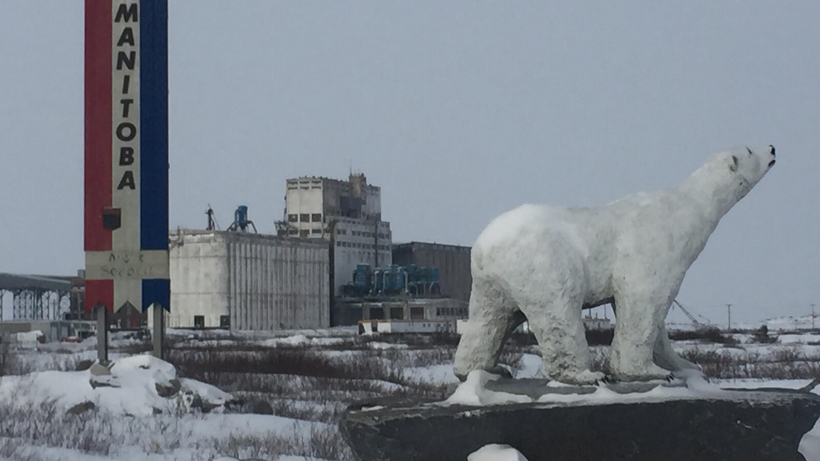 Une statue d'ours polaire.