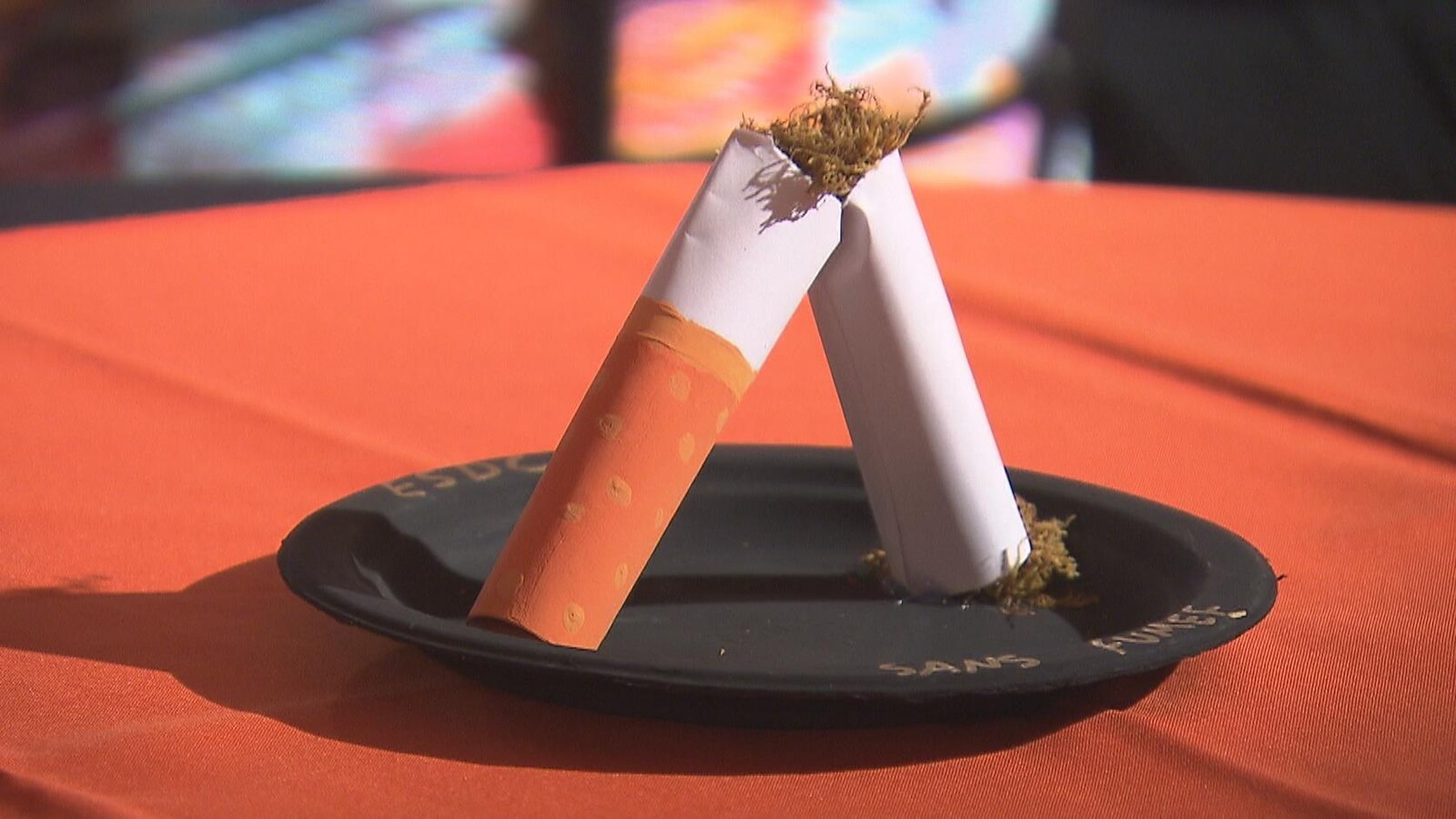 Une cigarette cassée en deux est exposée dans une assiette.