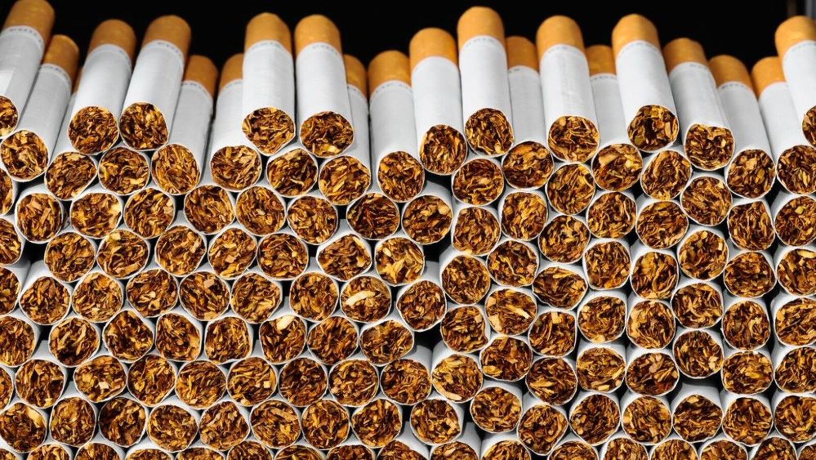 Des dizaines de cigarettes empilées les unes sur les autres