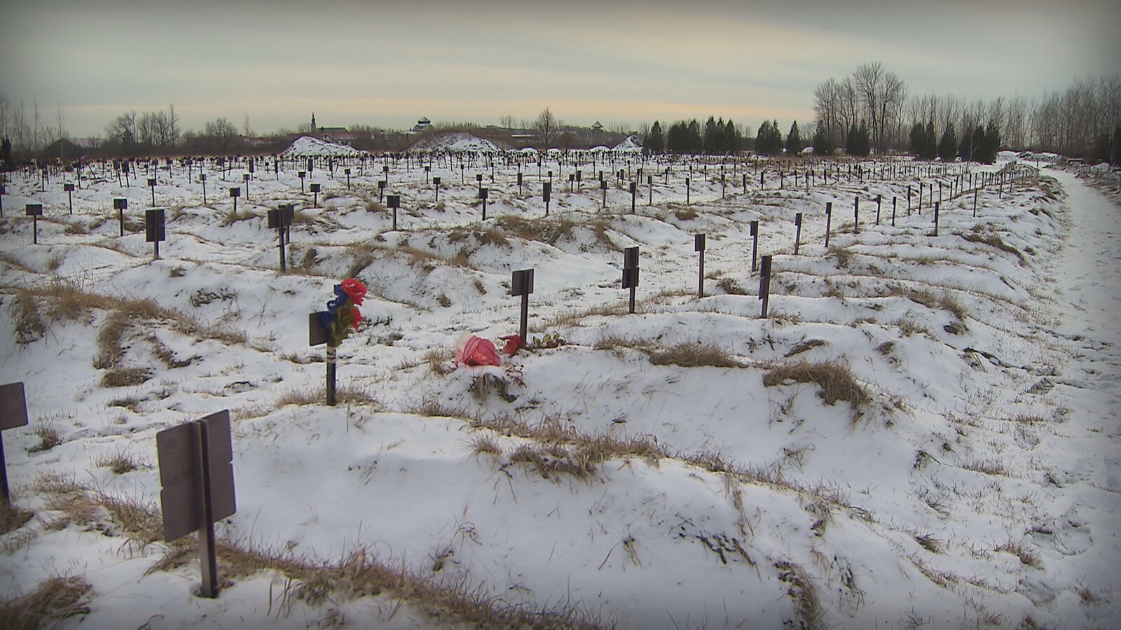 La ville de Québec ne compte aucun cimetière musulman sur son territoire.