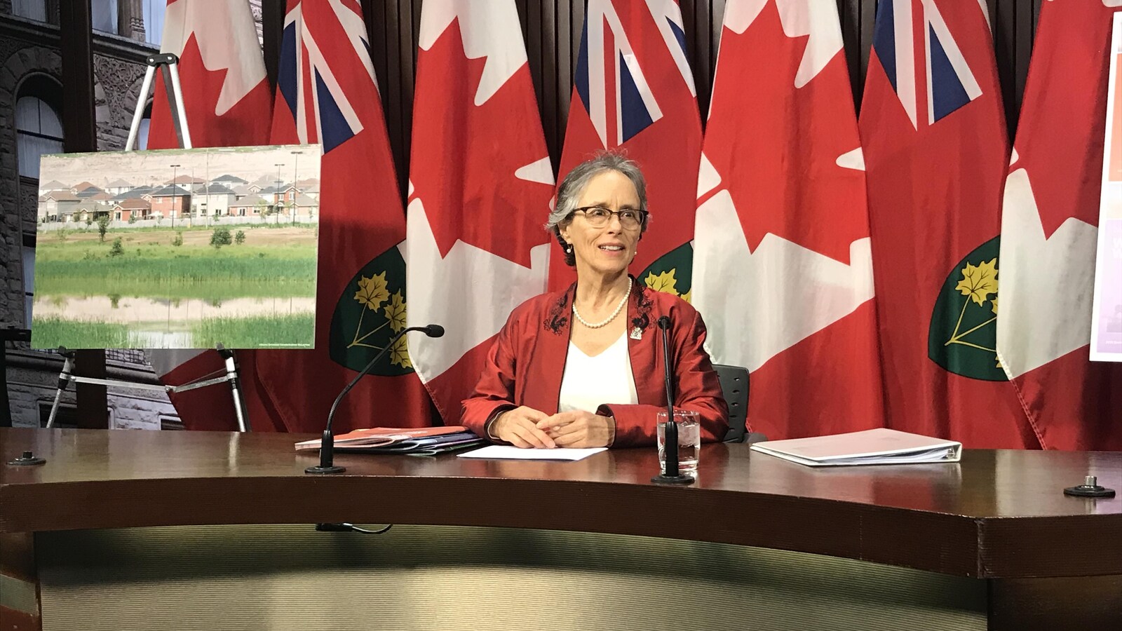 La commissaire à l'environnement de l'Ontario, Dianne Saxe, présente son plus récent rapport.