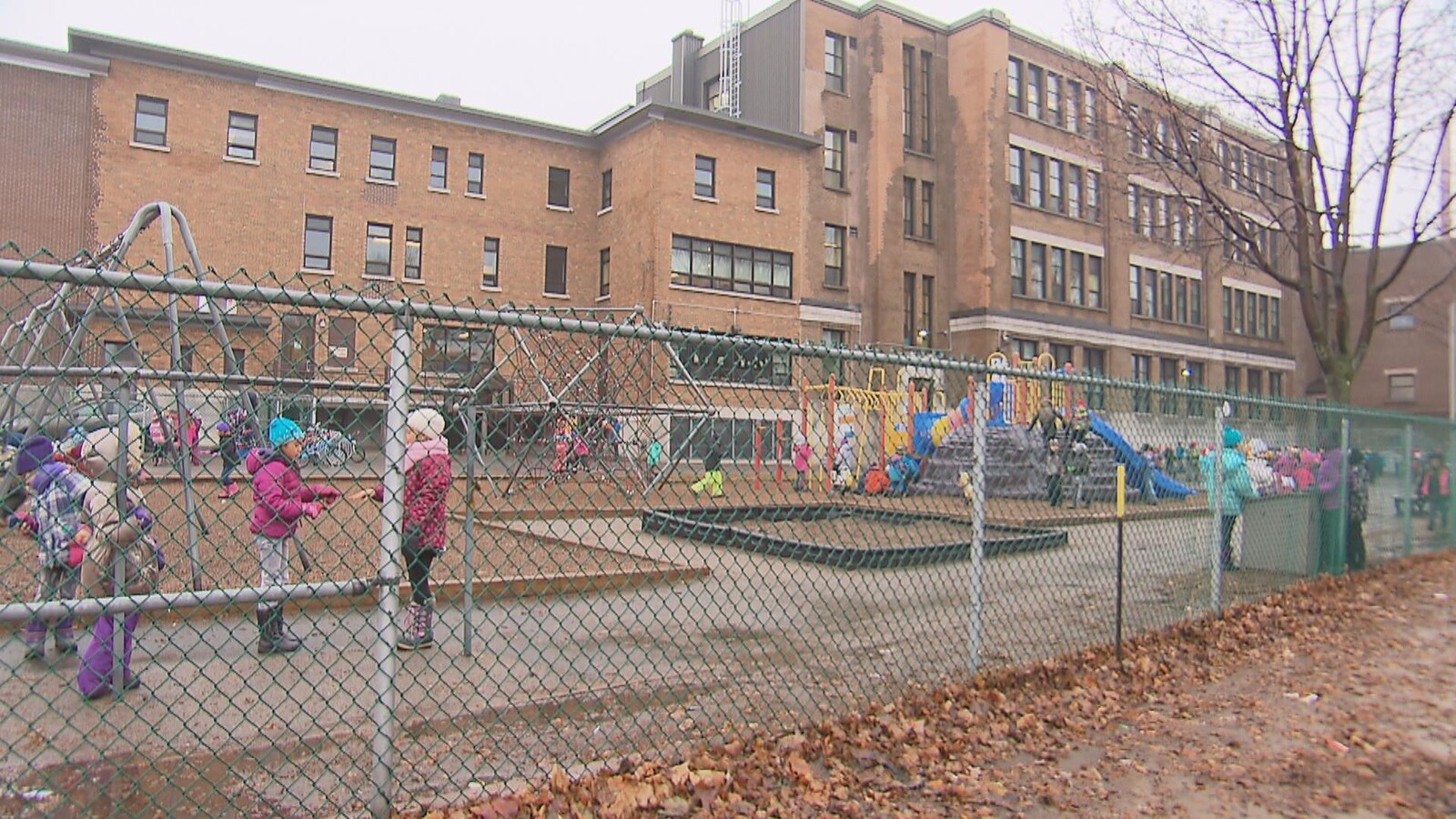 Vu arrière d'une cour d'école.