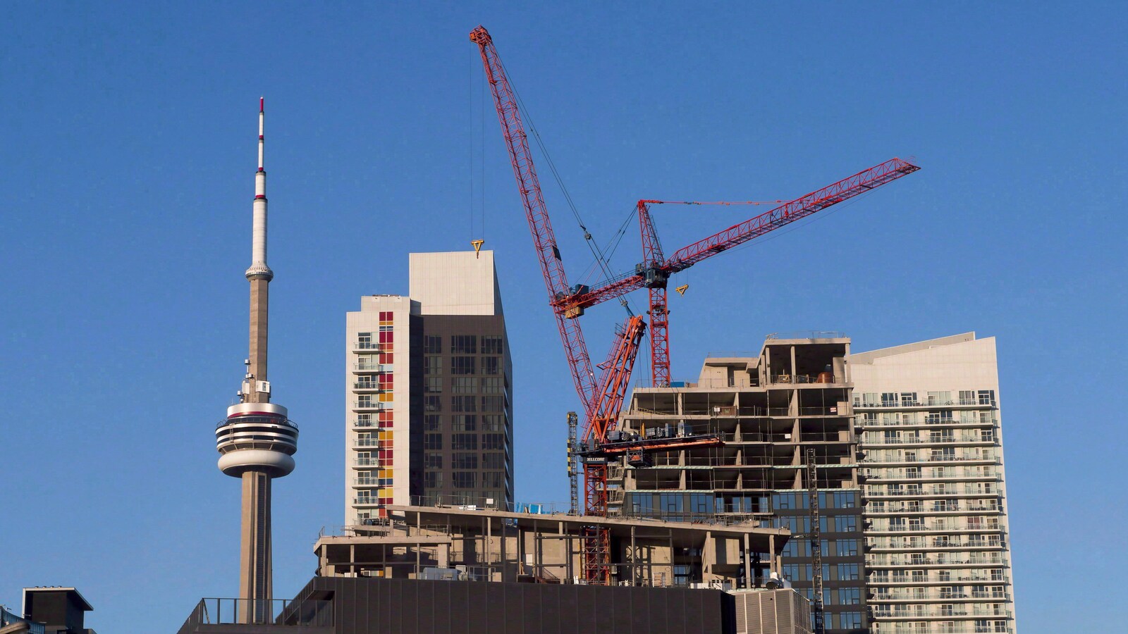 Des grues s'activent au centre-ville de Toronto.