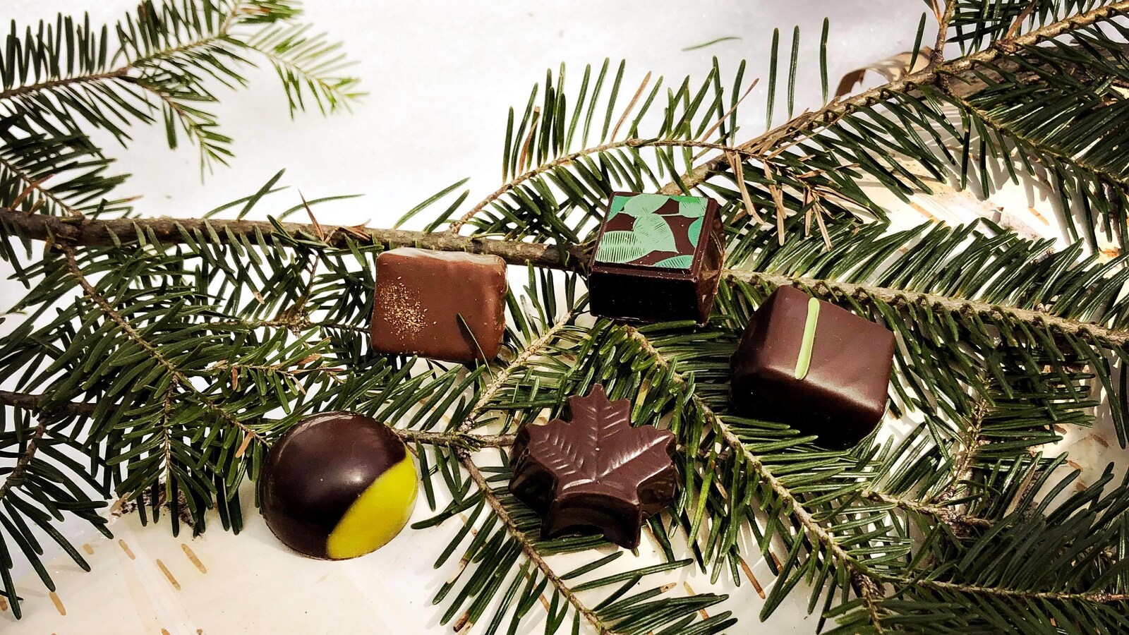 Chocolat sur des branches de sapin