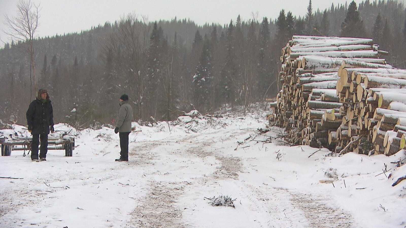Deux hommes debout près des billots de bois