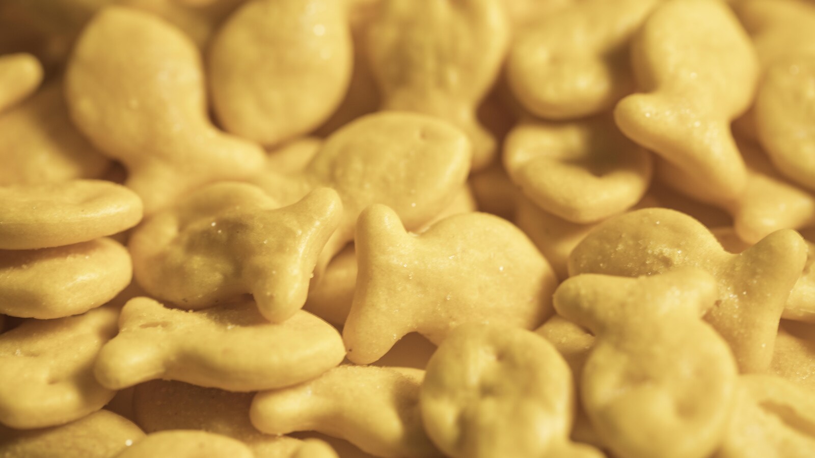 Des craquelins de marque Goldfish
