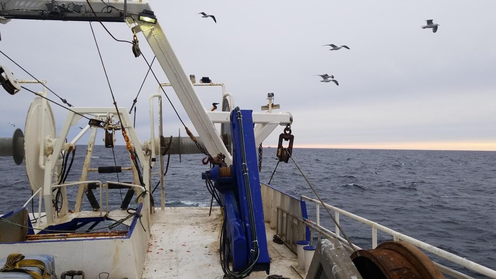 Pêche à la crevette