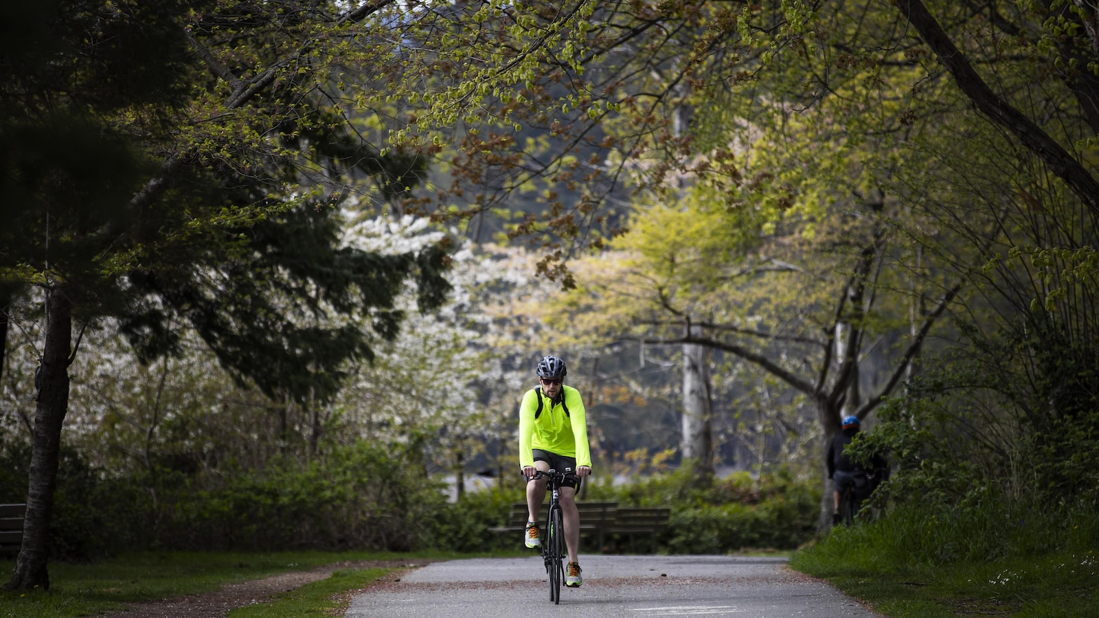 Un cycliste au coeur du parc Stanley, à Vancouver.