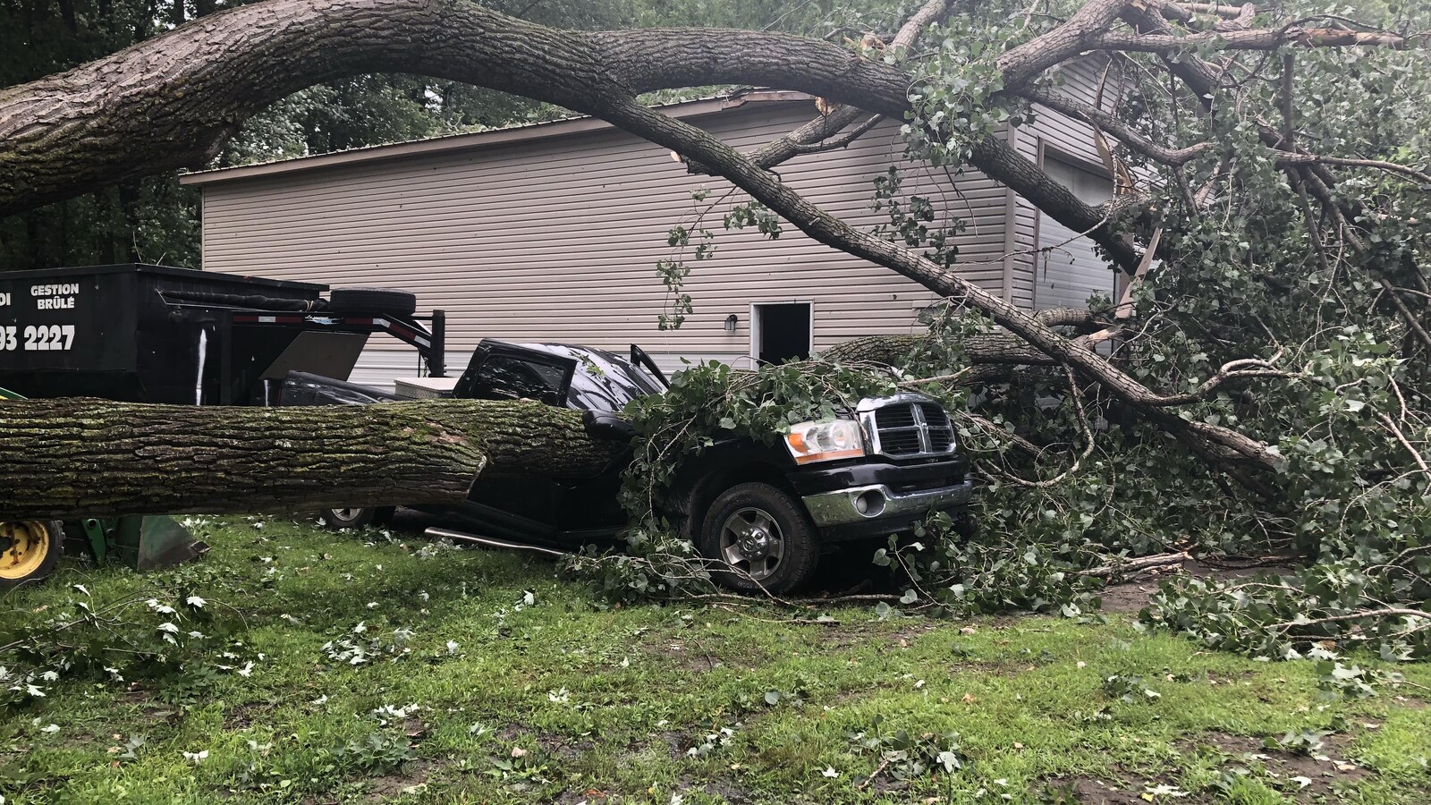 Un camion noir coupé en deux par un arbre.