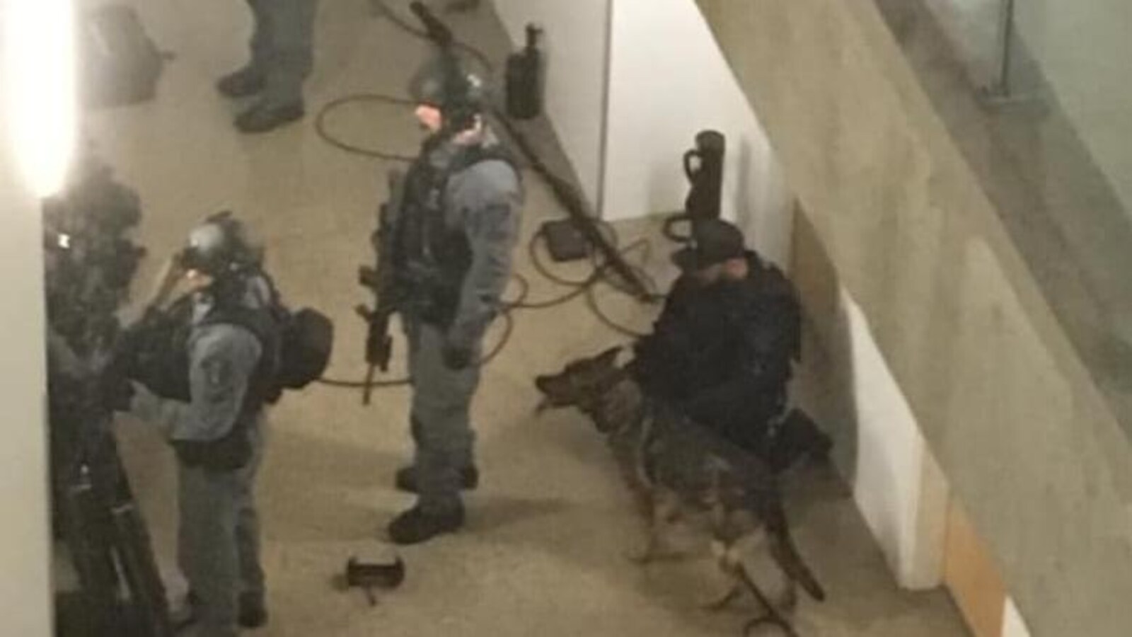 Des policiers, lourdement armés et accompagnés d’un chien renifleur, procèdent à une descente dans un immeuble à Saskatoon.