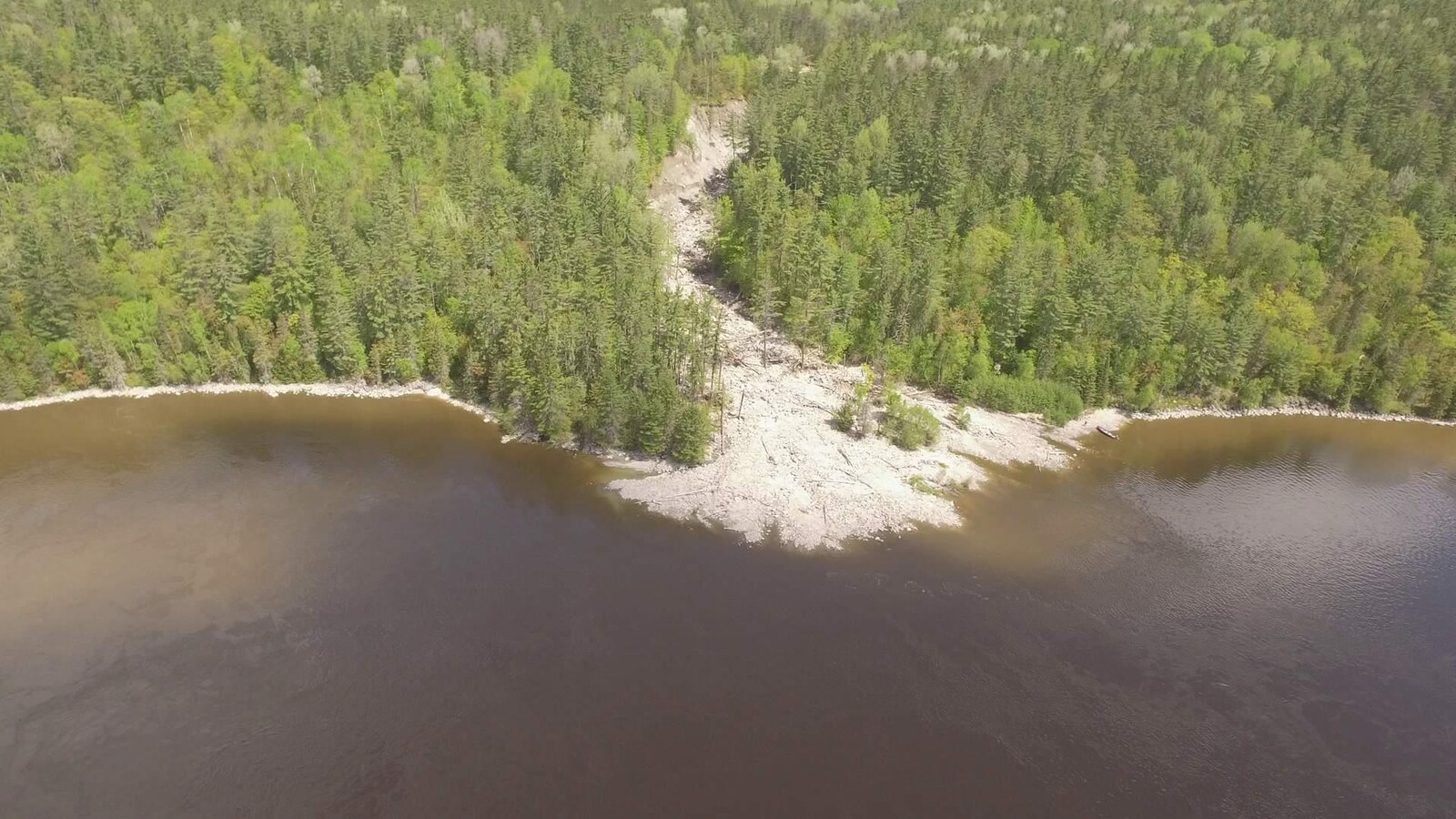De la boue traverse une forêt avant de tomber dans une rivière.
