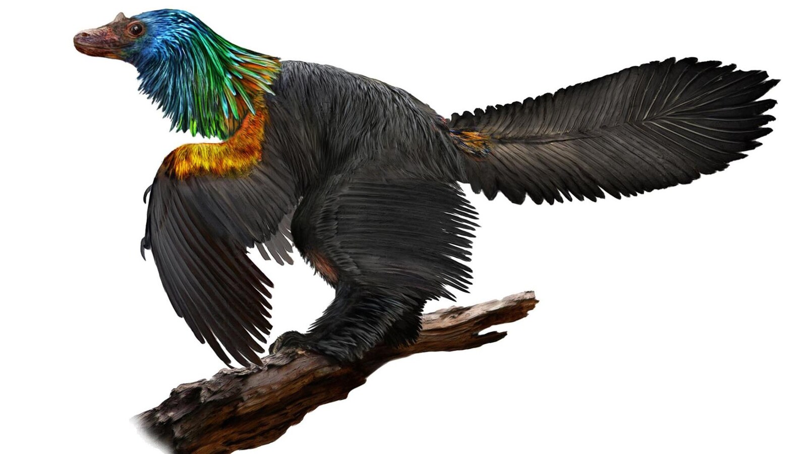 Représentation artistique du Caihong juji