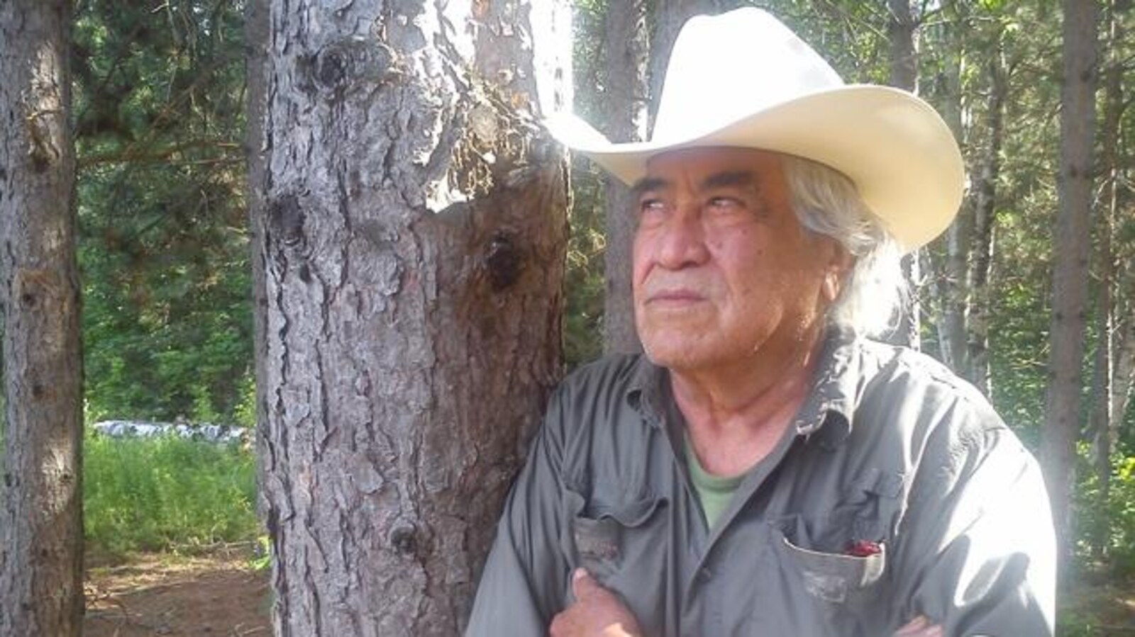 Domingo Cisneros dans la forêt