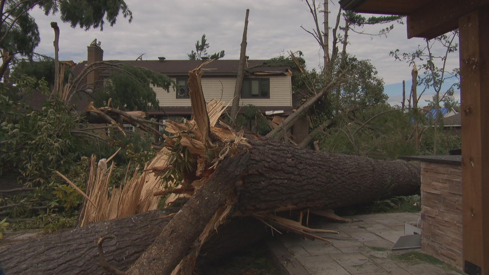 Un arbre tombé devant une maison.