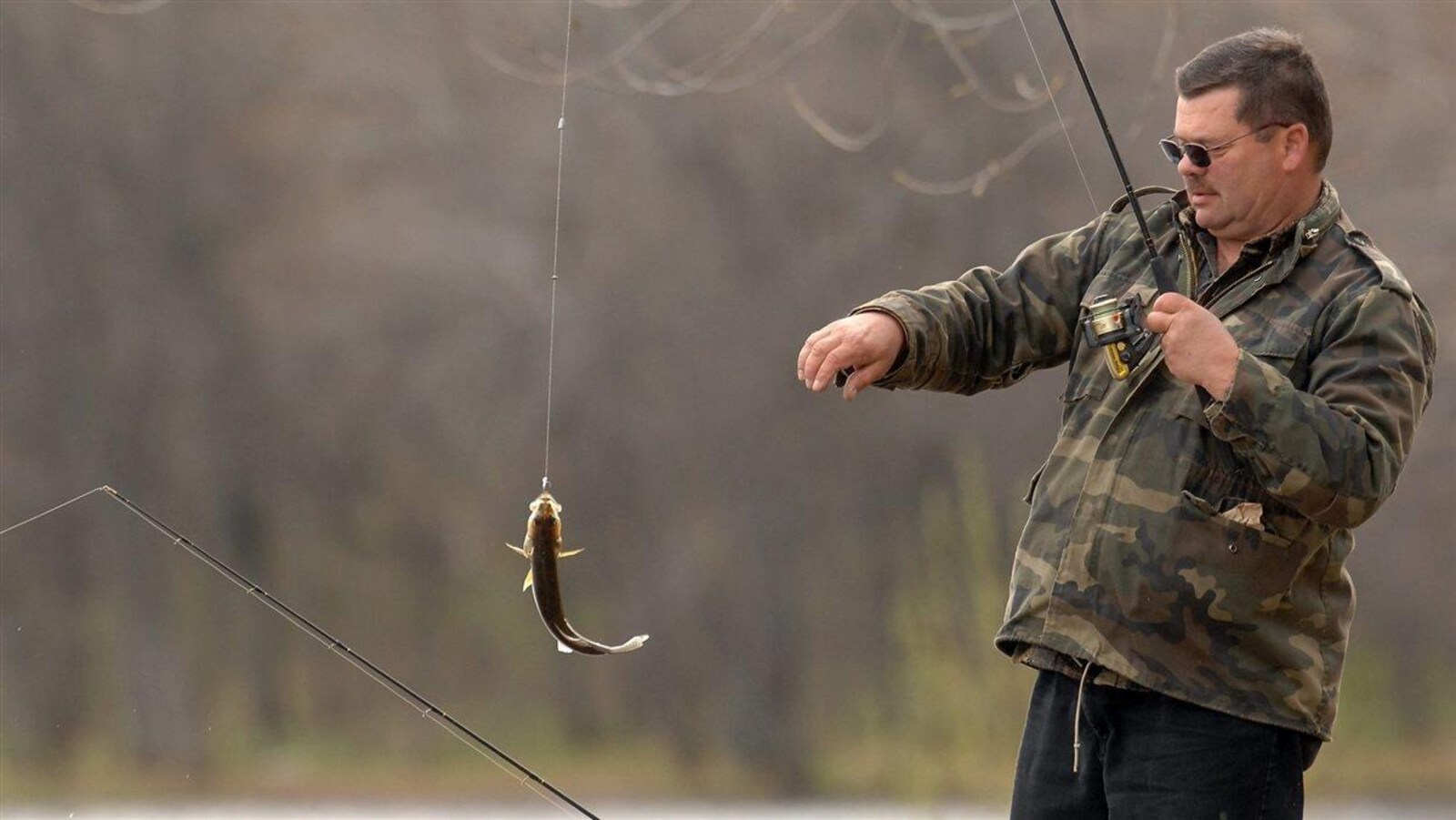 La pêche au doré jaune est encore fragile dans le lac Nipissing