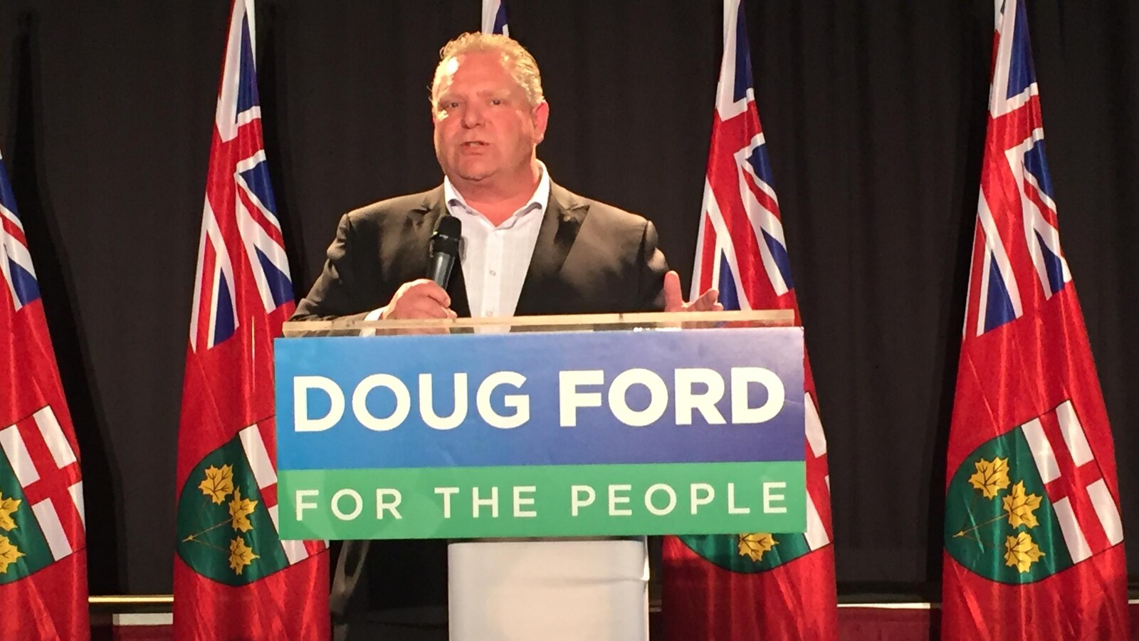 Le chef du Parti progressiste-conservateur de l’Ontario Doug Ford.