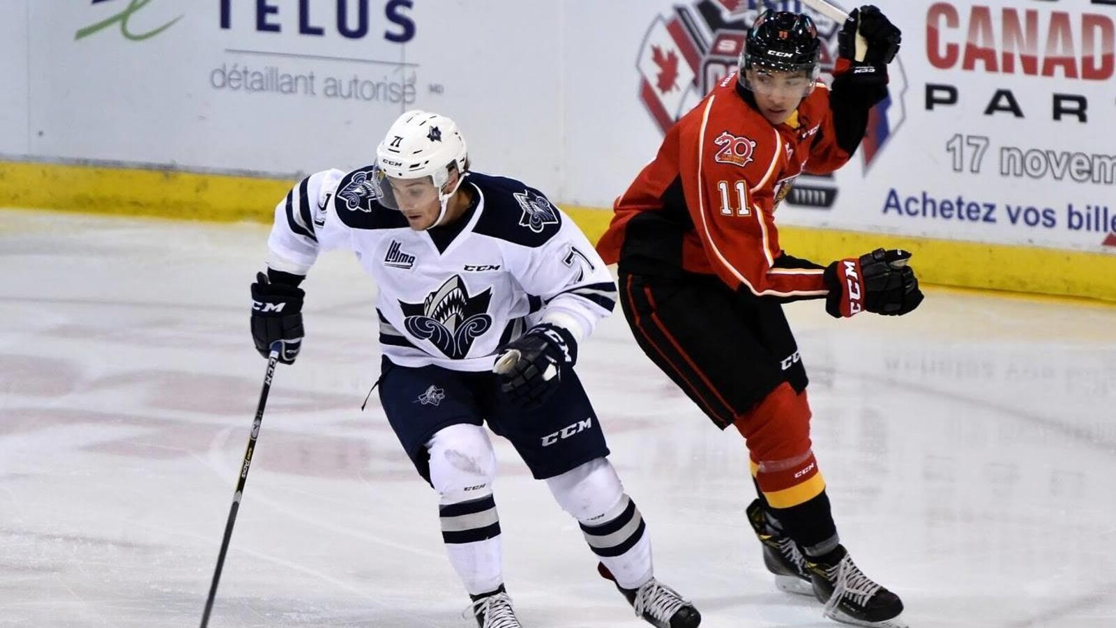 Le Drakkar de vaincu par l'Océanic à Rimouski ICI RadioCanada.ca