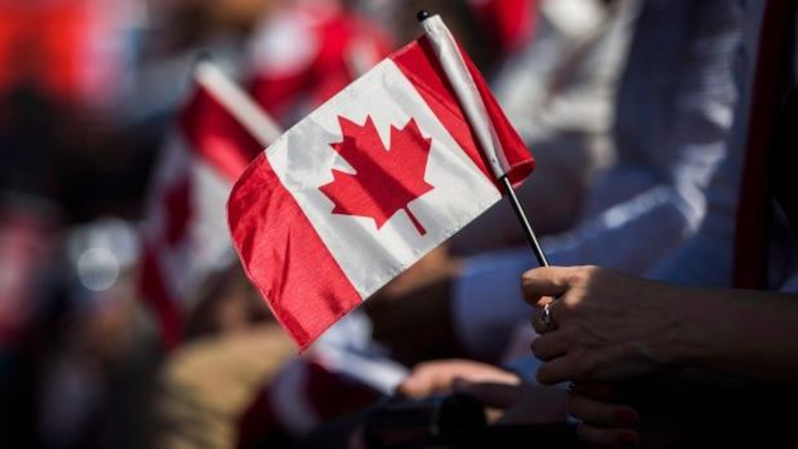 Une femme tient un drapeau canadien dans sa main.