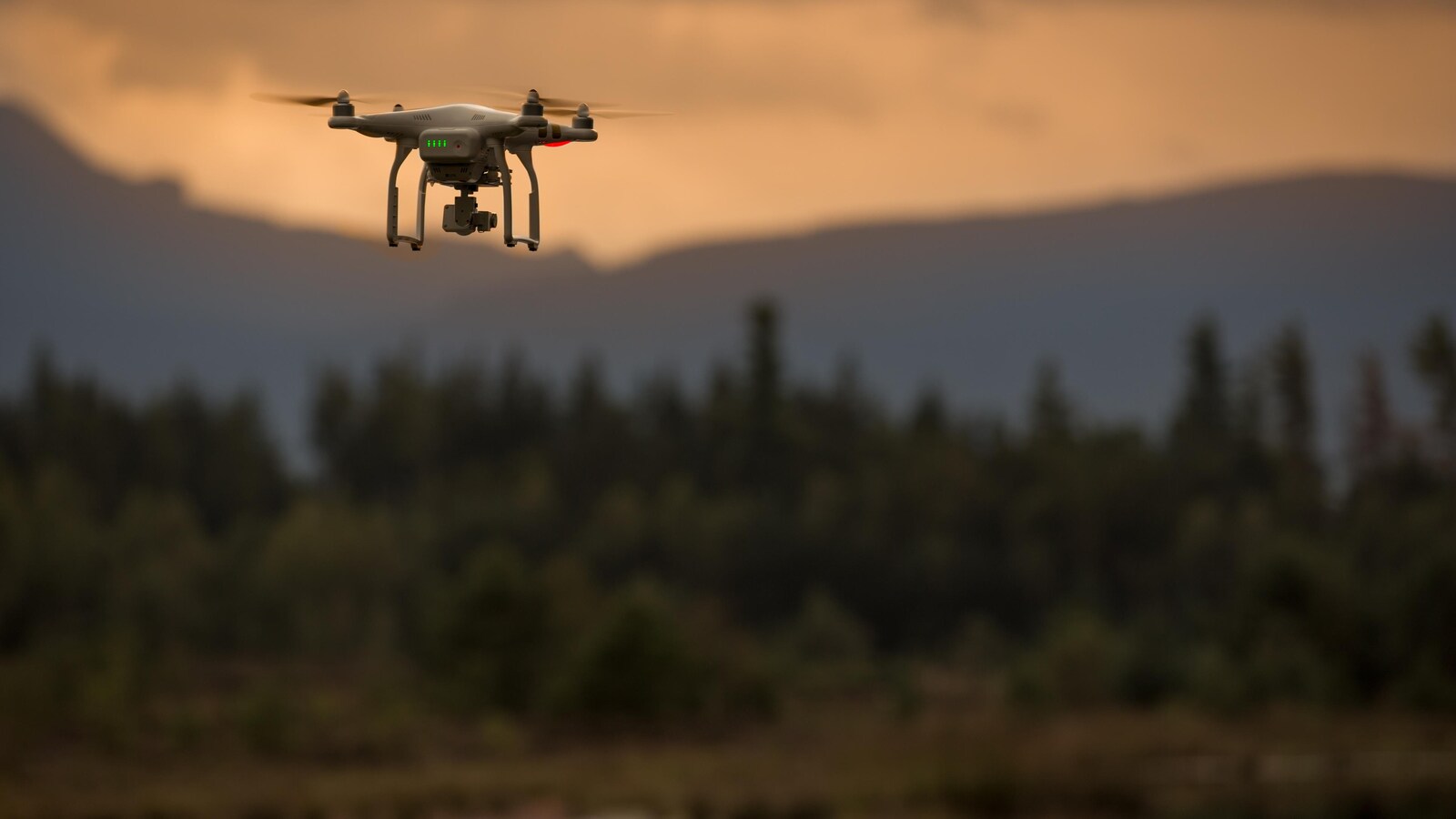 Un drone survole une forêt.