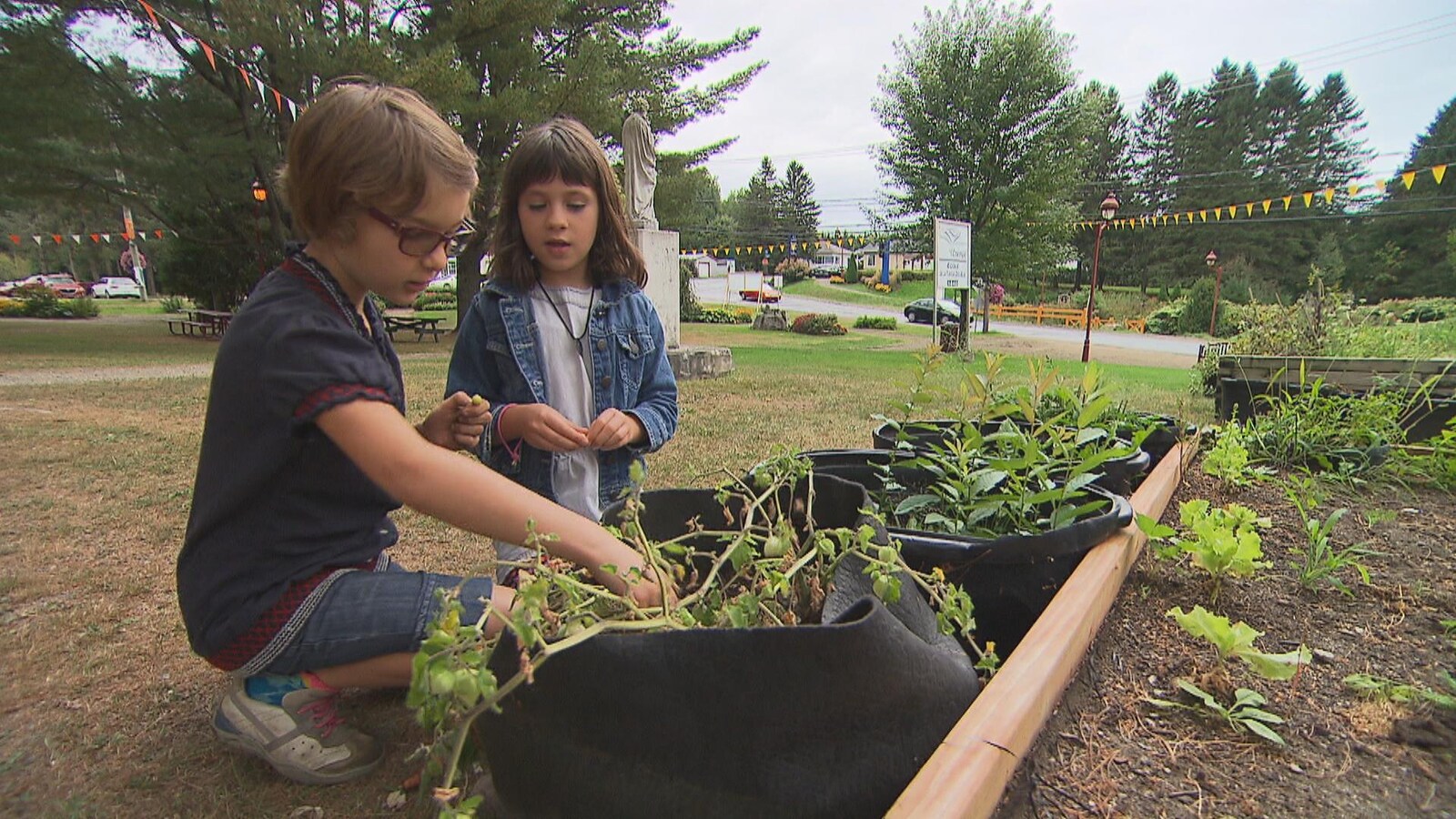 Des jardiniers en herbe de l'école alternative la Tortue-des-Bois de Saint-Mathieu-du-Parc s'occupent de leur potager.