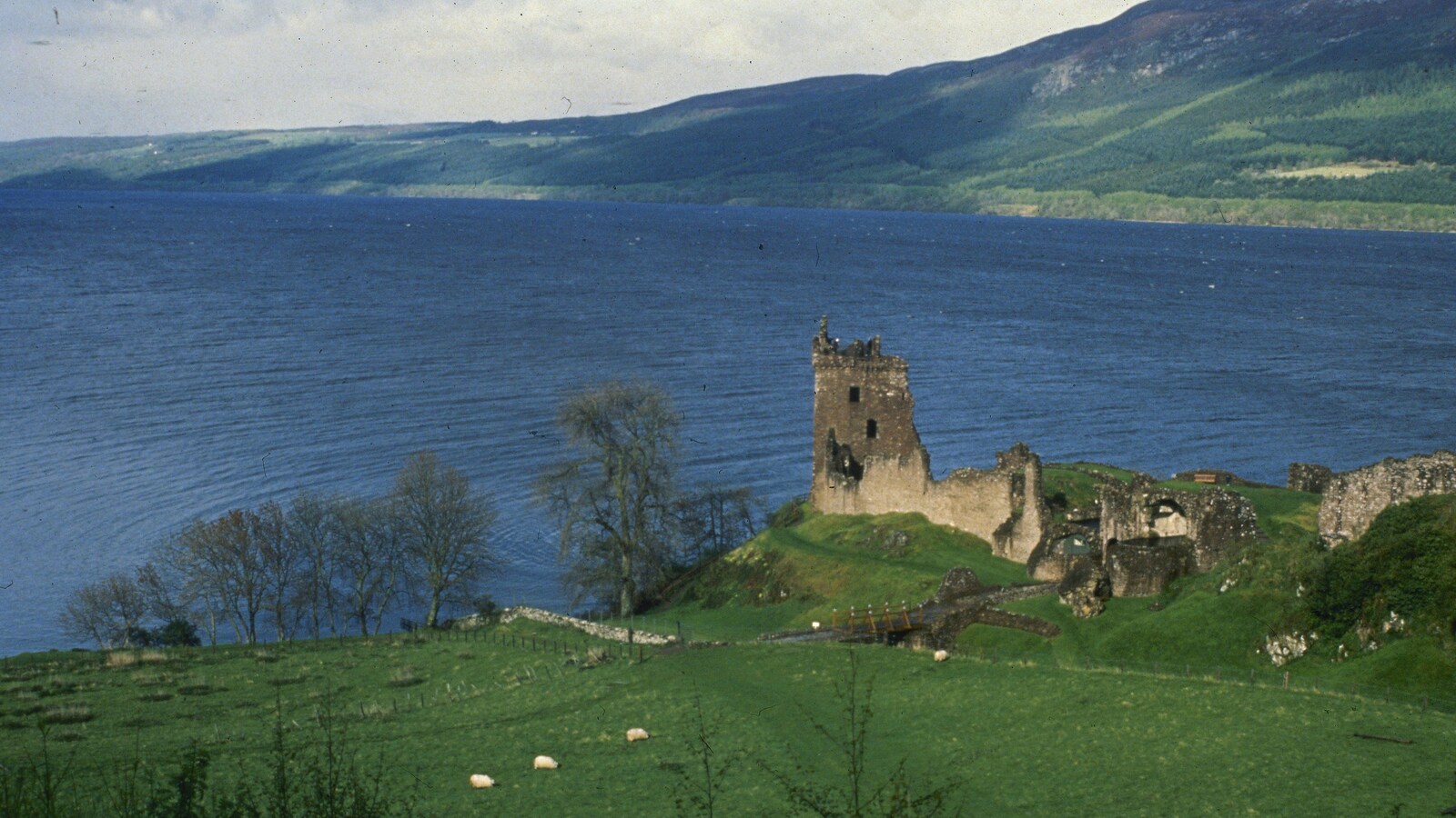 Un scientifique fera différents tests d'ADN dans le Loch Ness pour faire l'inventaire des espèces qui y vivent et peut-être résoudre l'énigme du monstre.