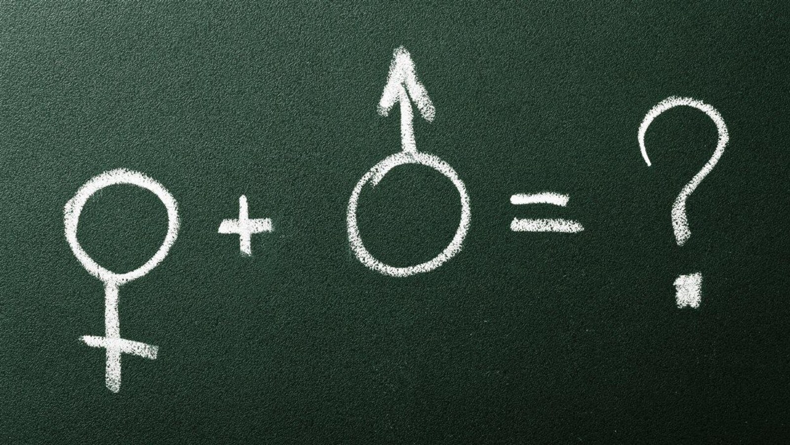 Un tableau vert sur lequel sont dessinés à la craie des symboles de genre masculin et féminin.