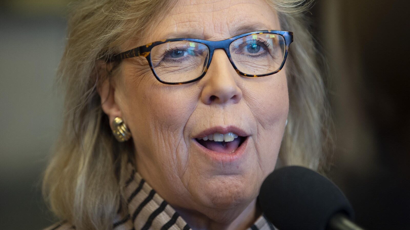 La chef du Parti vert du Canada Elizabeth May parle dans un micro.