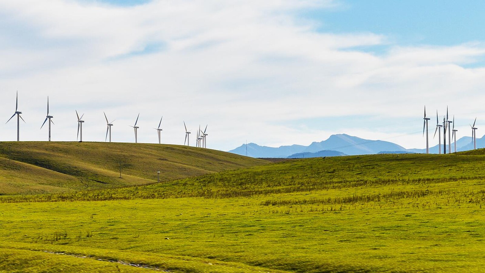 Un champ d'éoliennes près de Pincher Creek, dans le sud de l'Alberta.